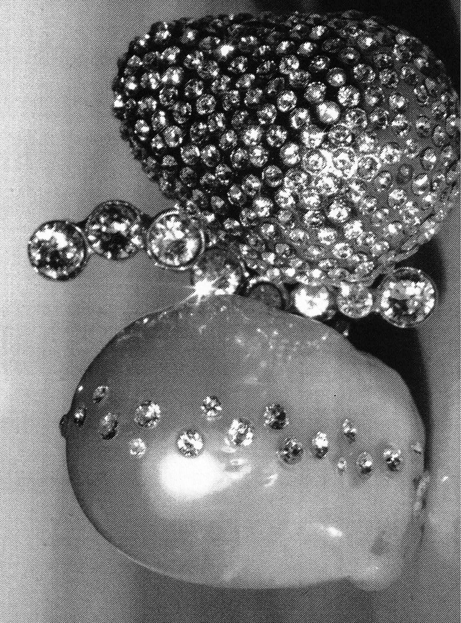 La robe de chambre de Balzac