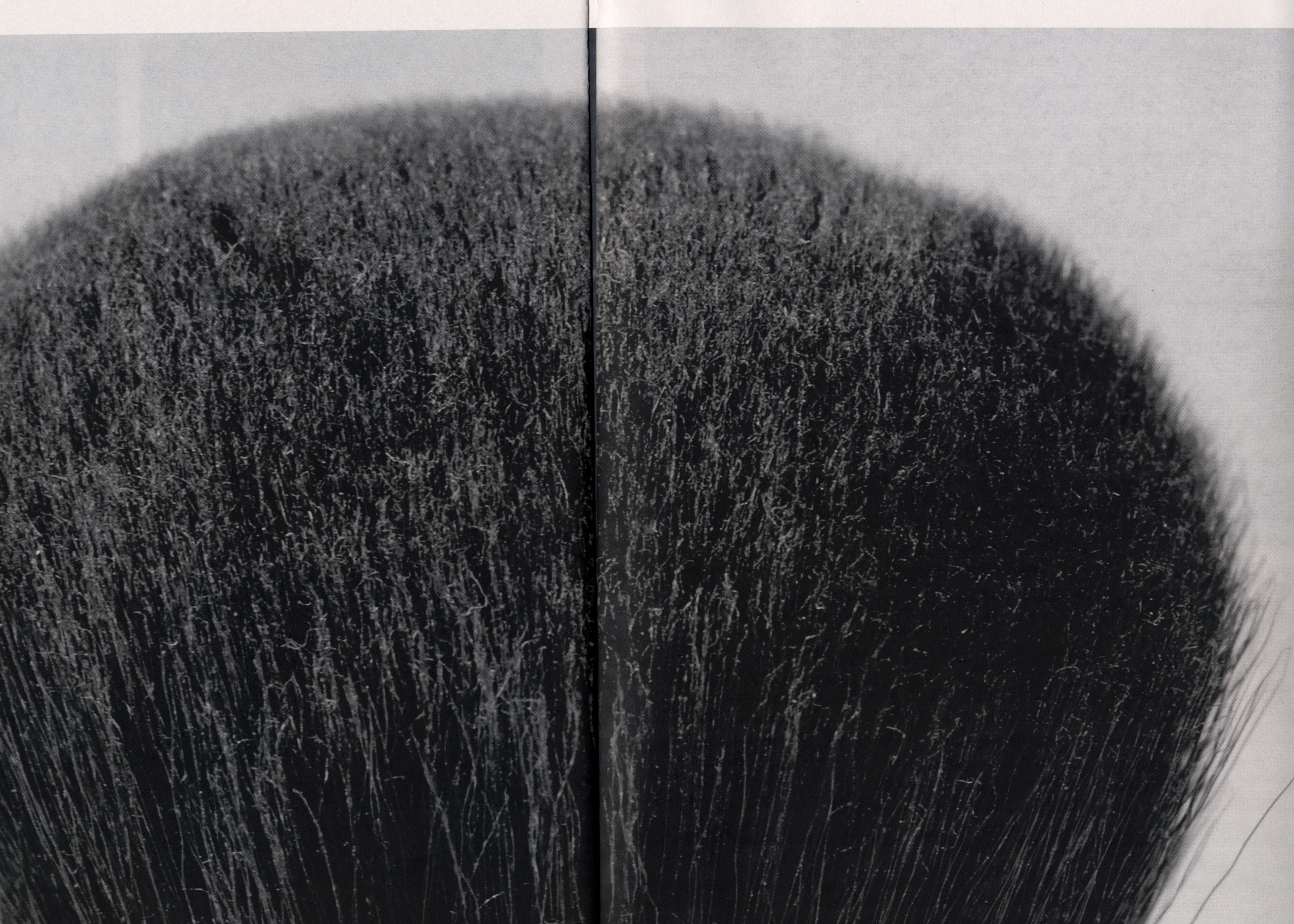 La robe de chambre de Balzac