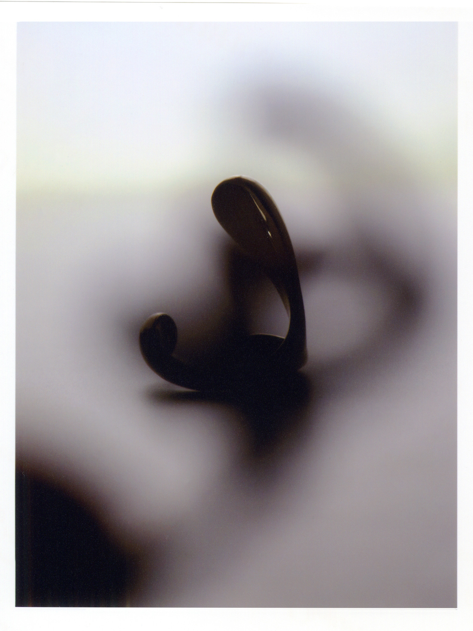 Studies for Julia Bartsch