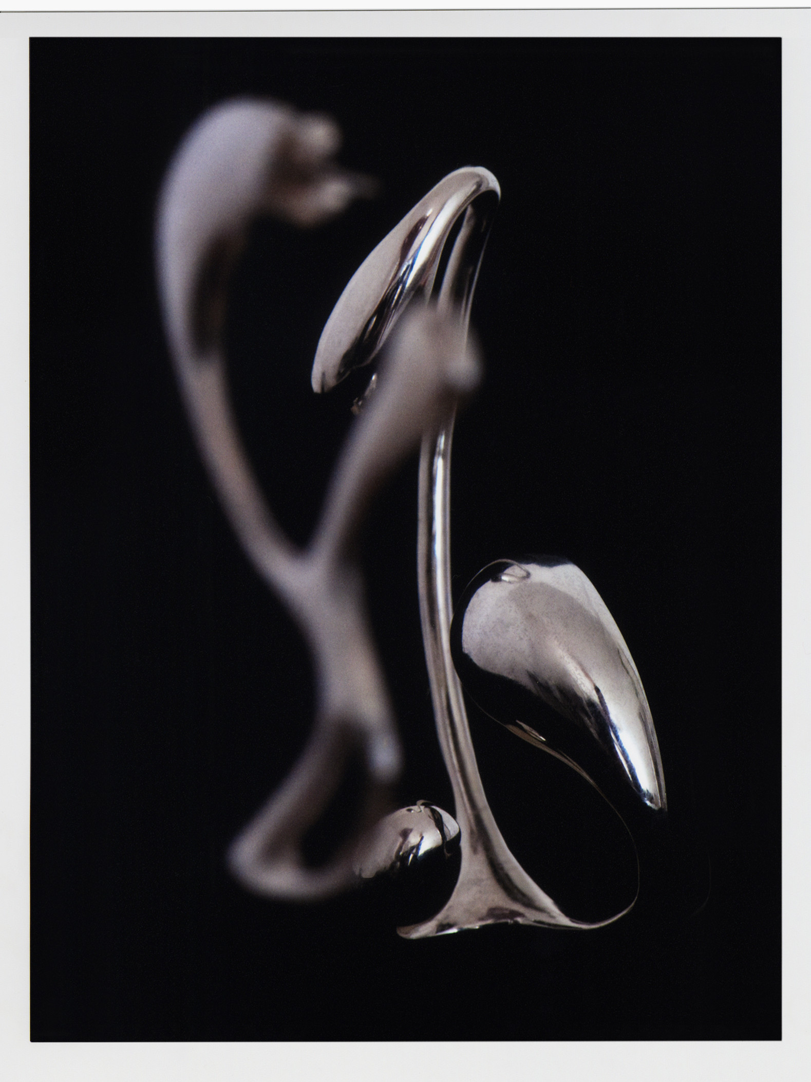 Studies for Julia Bartsch