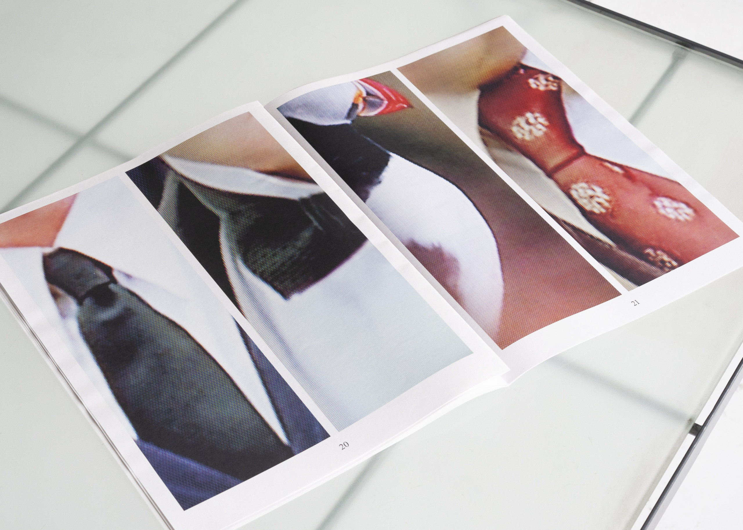 Les Sources – Why Look at Animals?