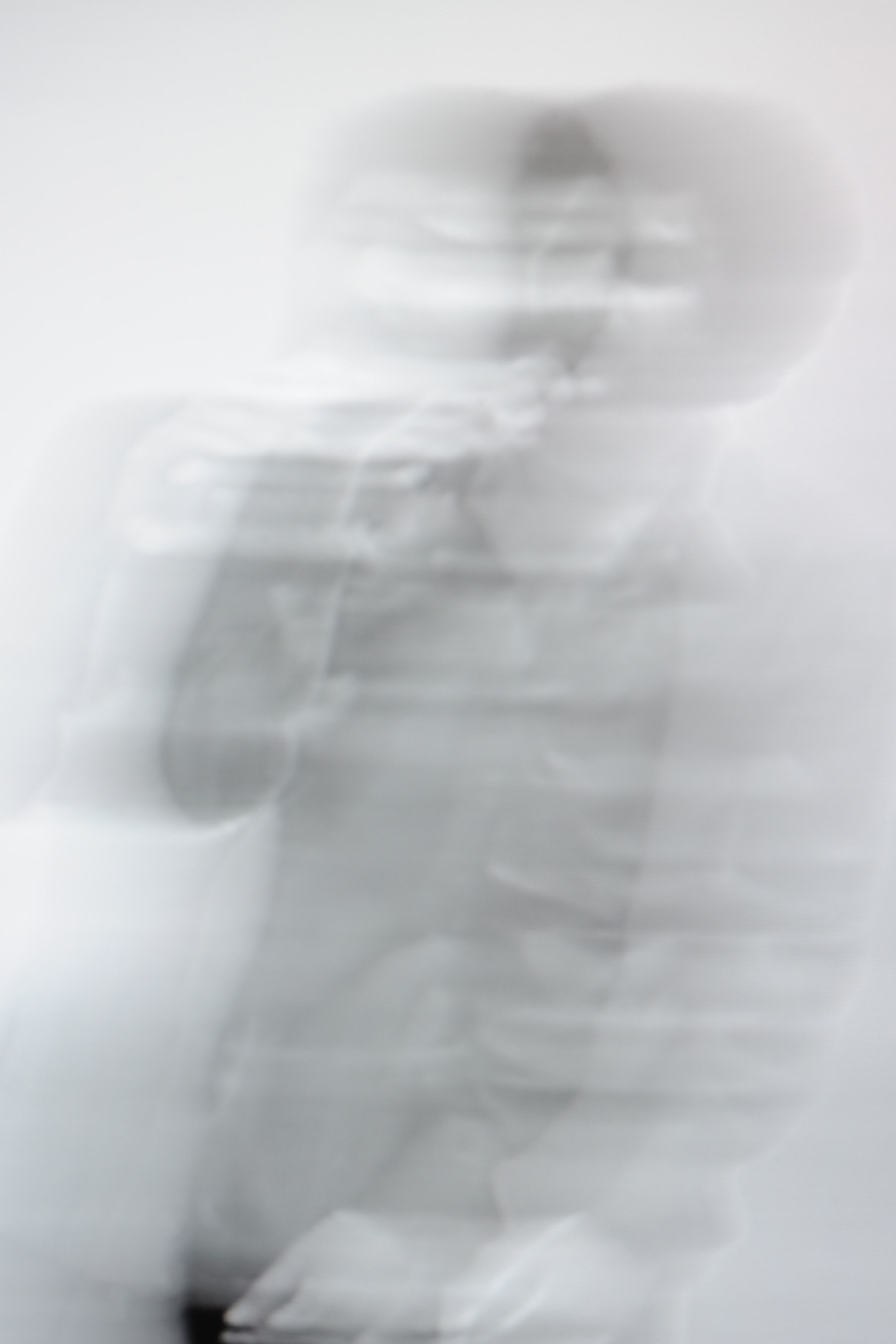 Les Sources – Why Look at Animals?