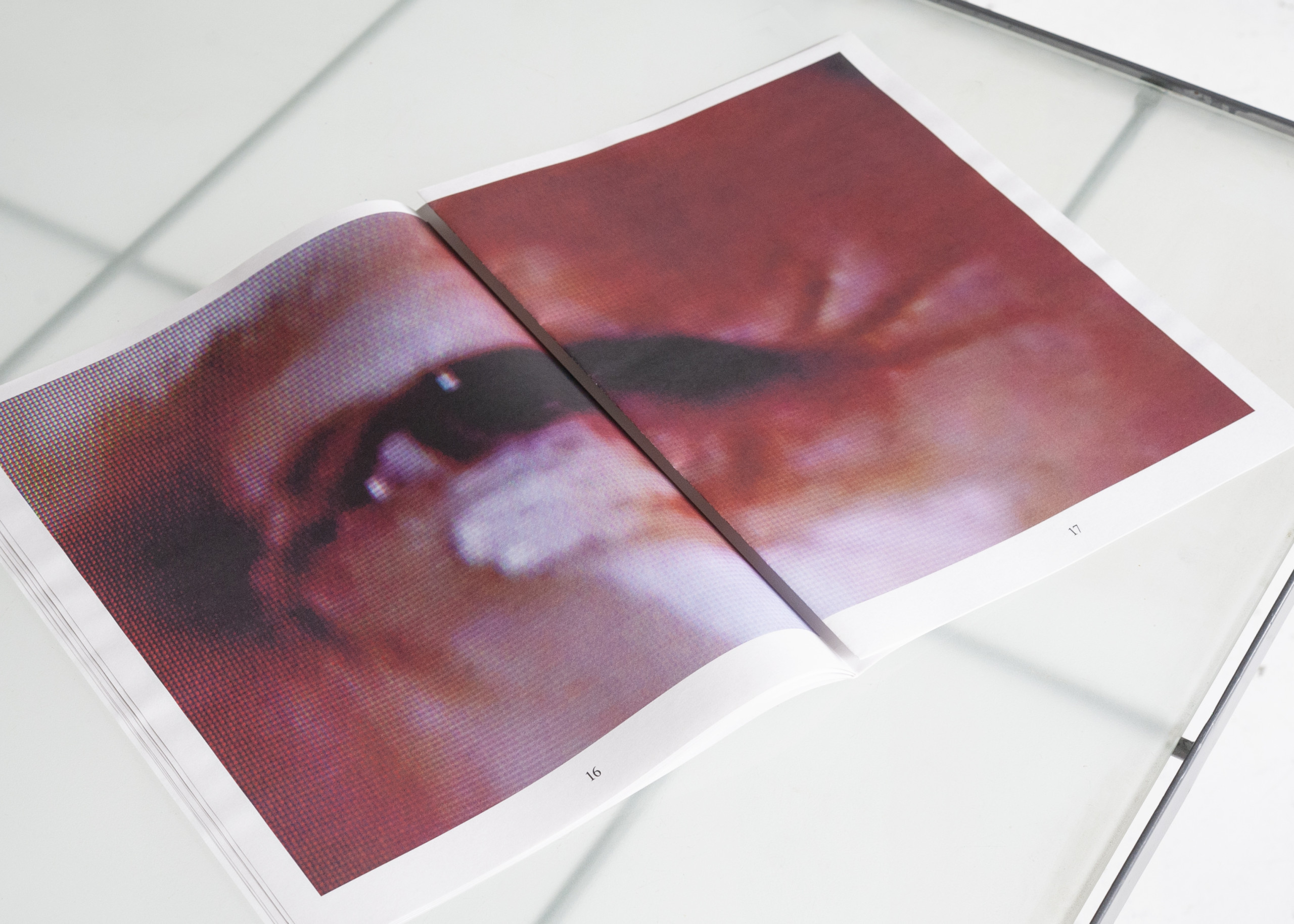 Les Sources – Why Look at Animals?