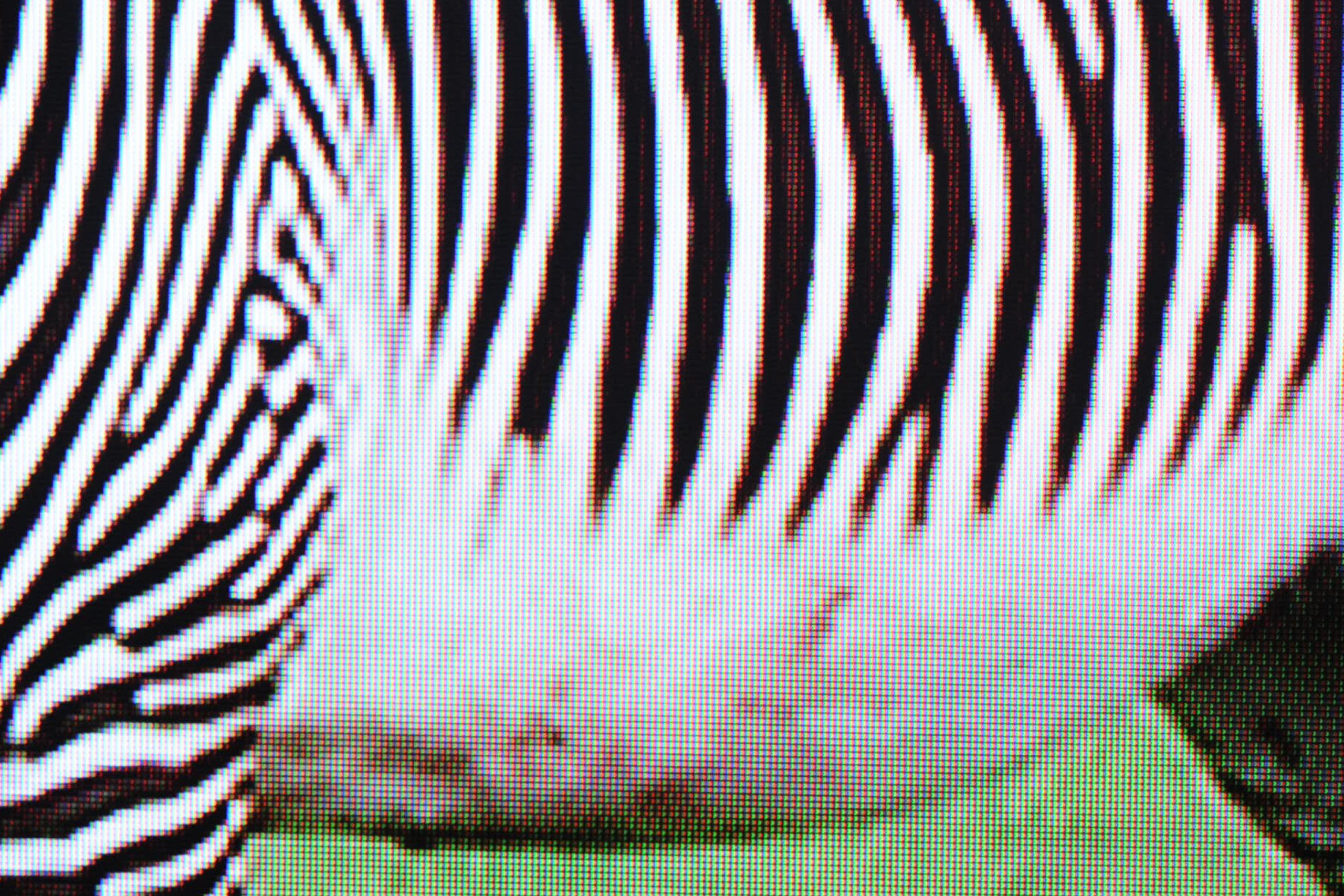 Les Sources – Why Look at Animals?