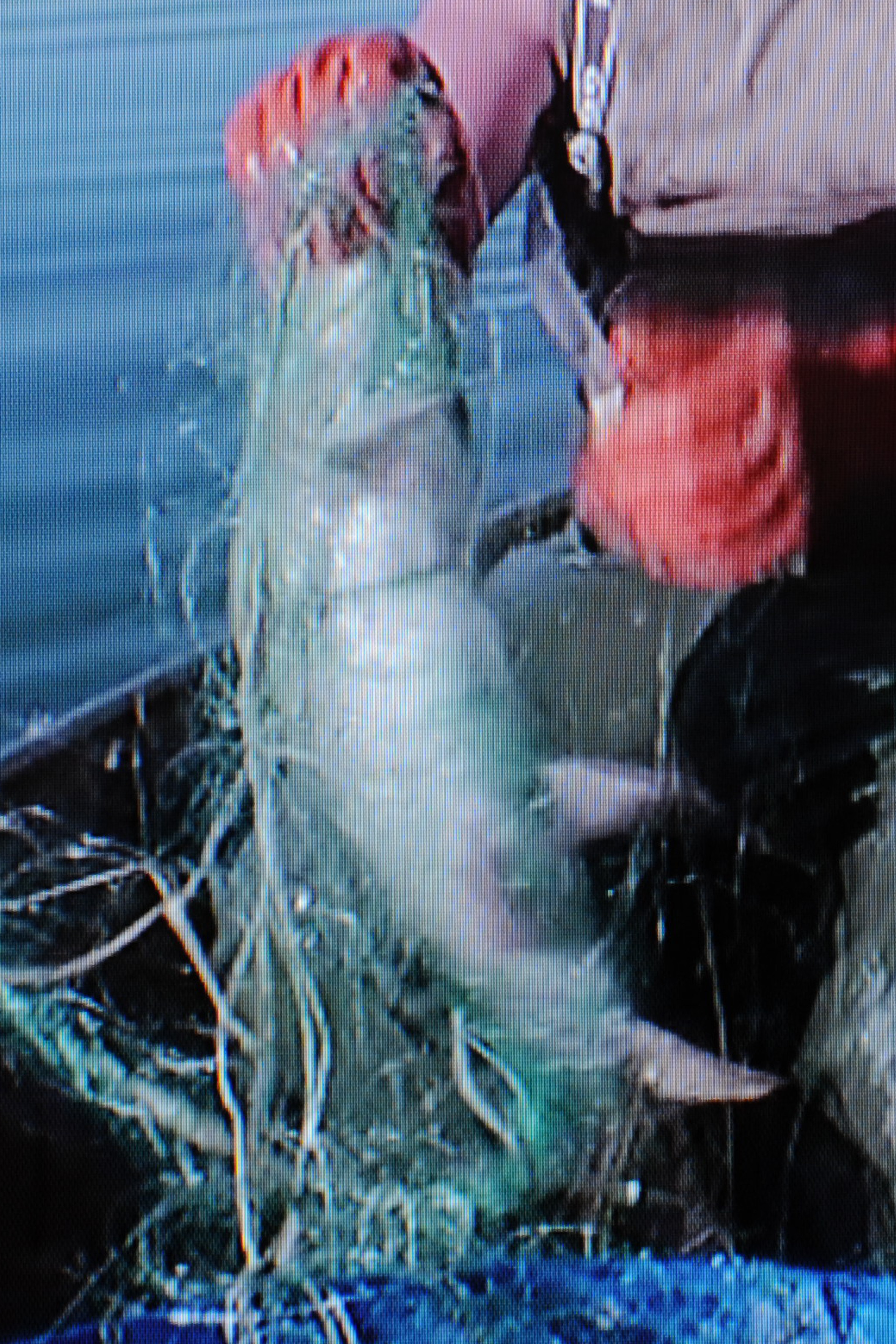 Les Sources – Why Look at Animals?