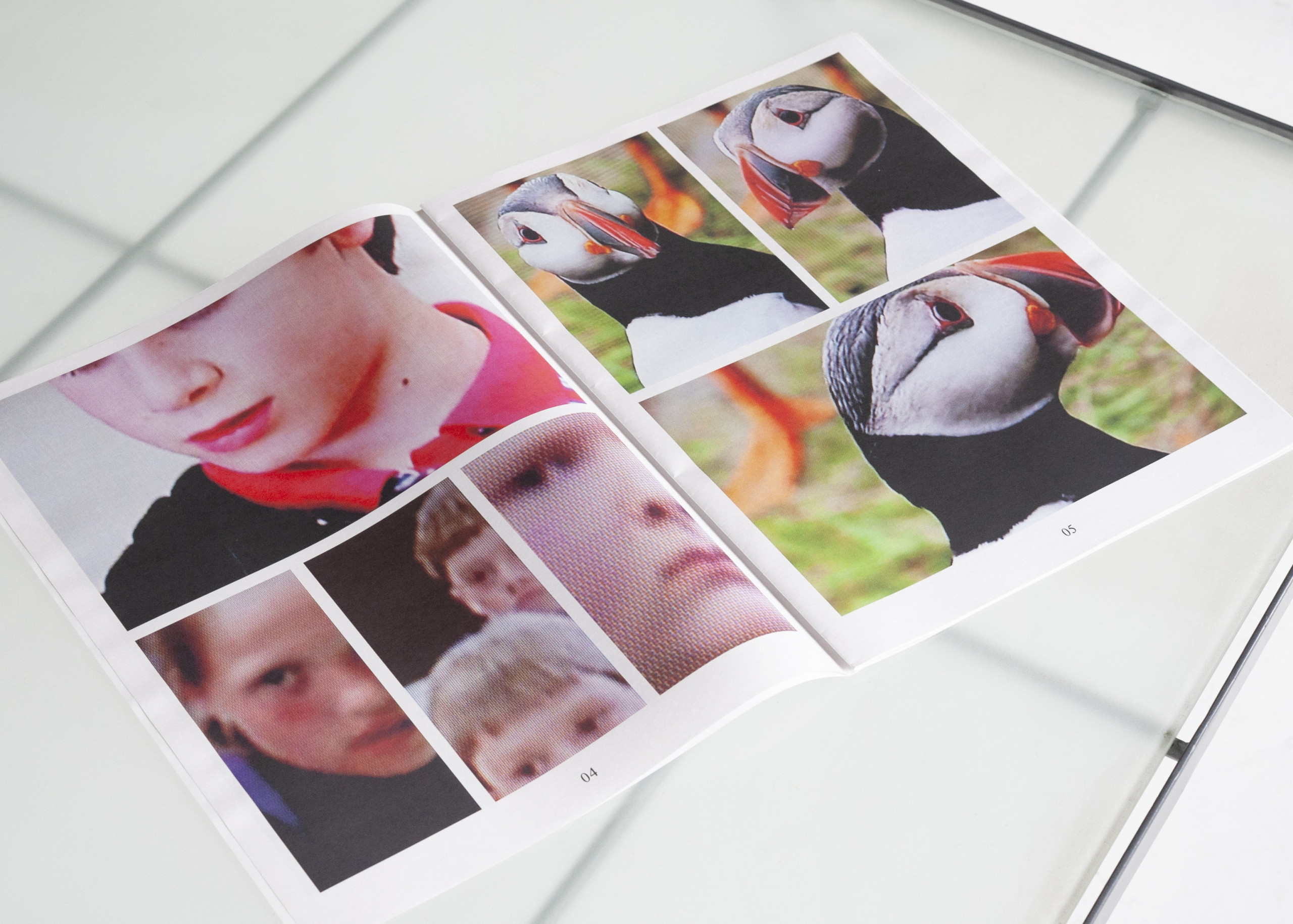 Les Sources – Why Look at Animals?