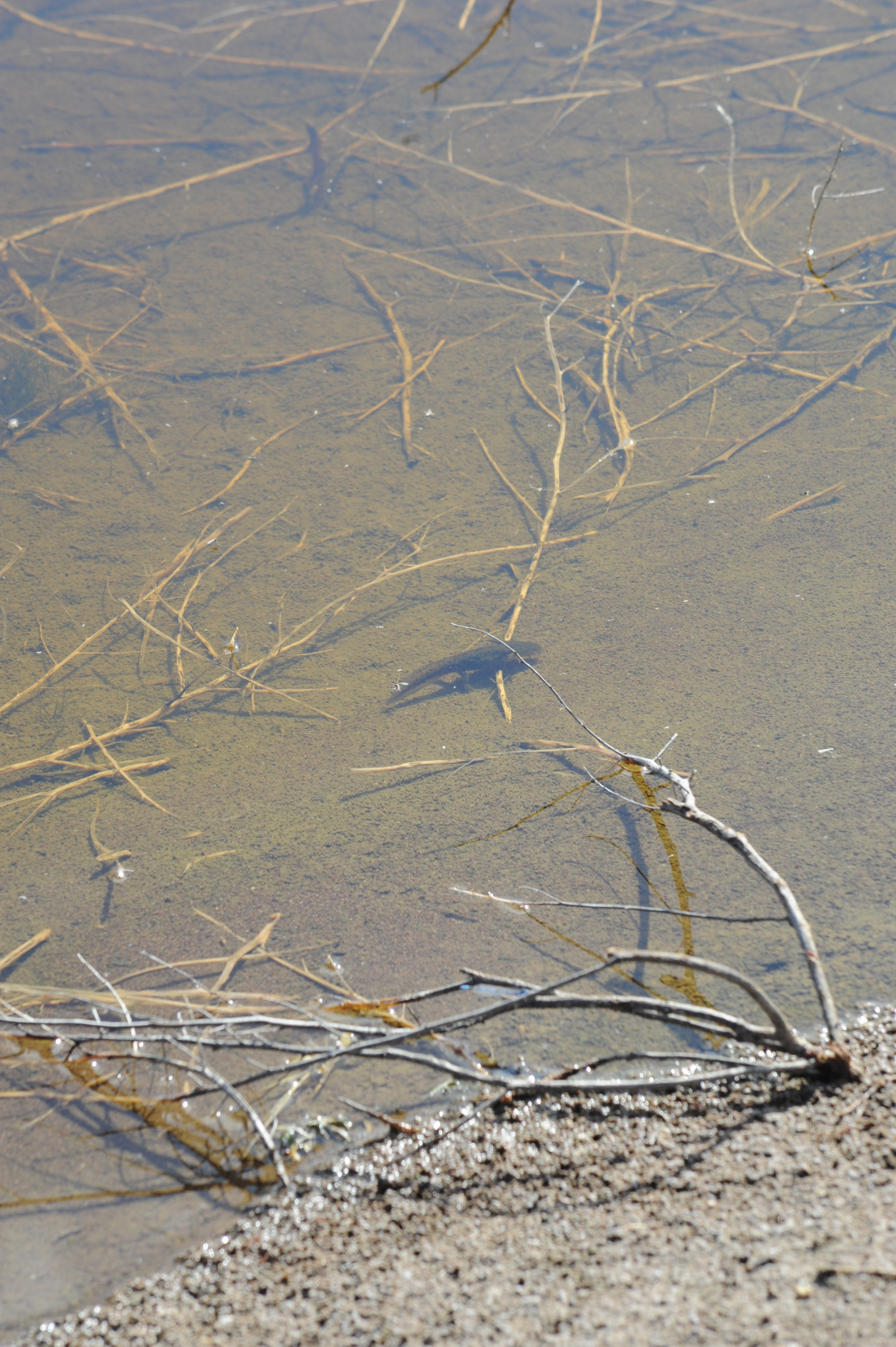 Orisons, by Marguerite Humeau