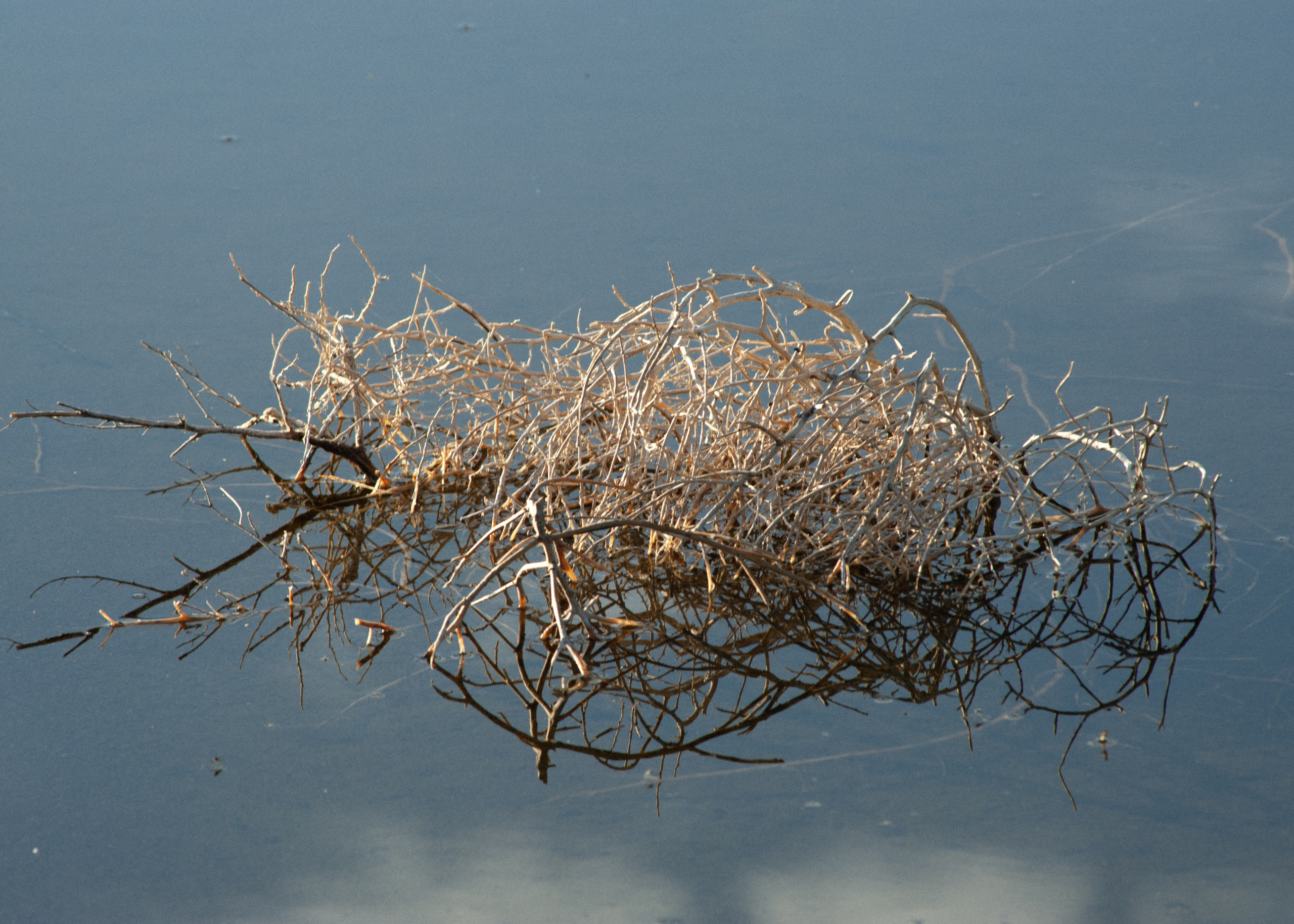 Orisons, by Marguerite Humeau