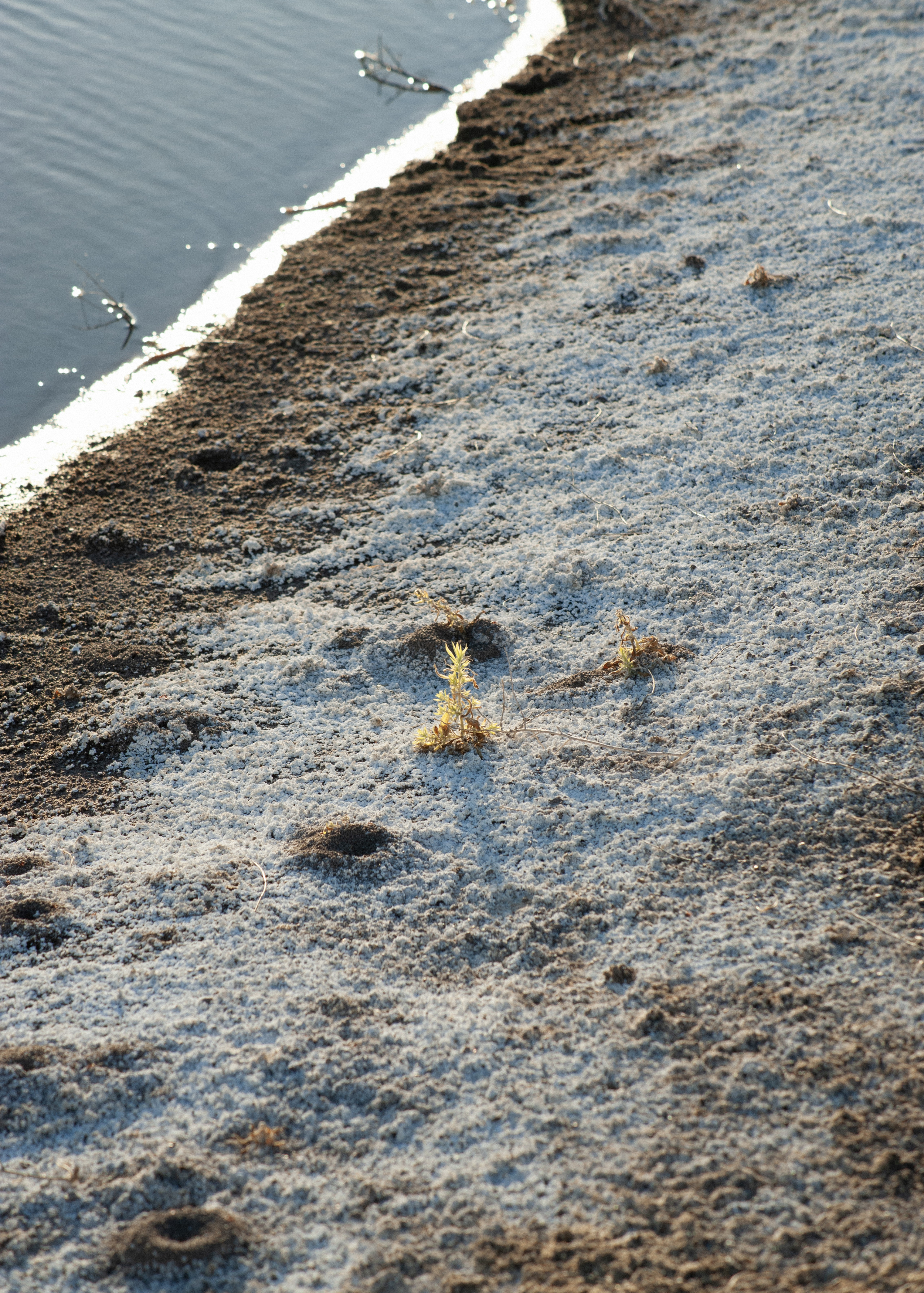 Orisons, by Marguerite Humeau