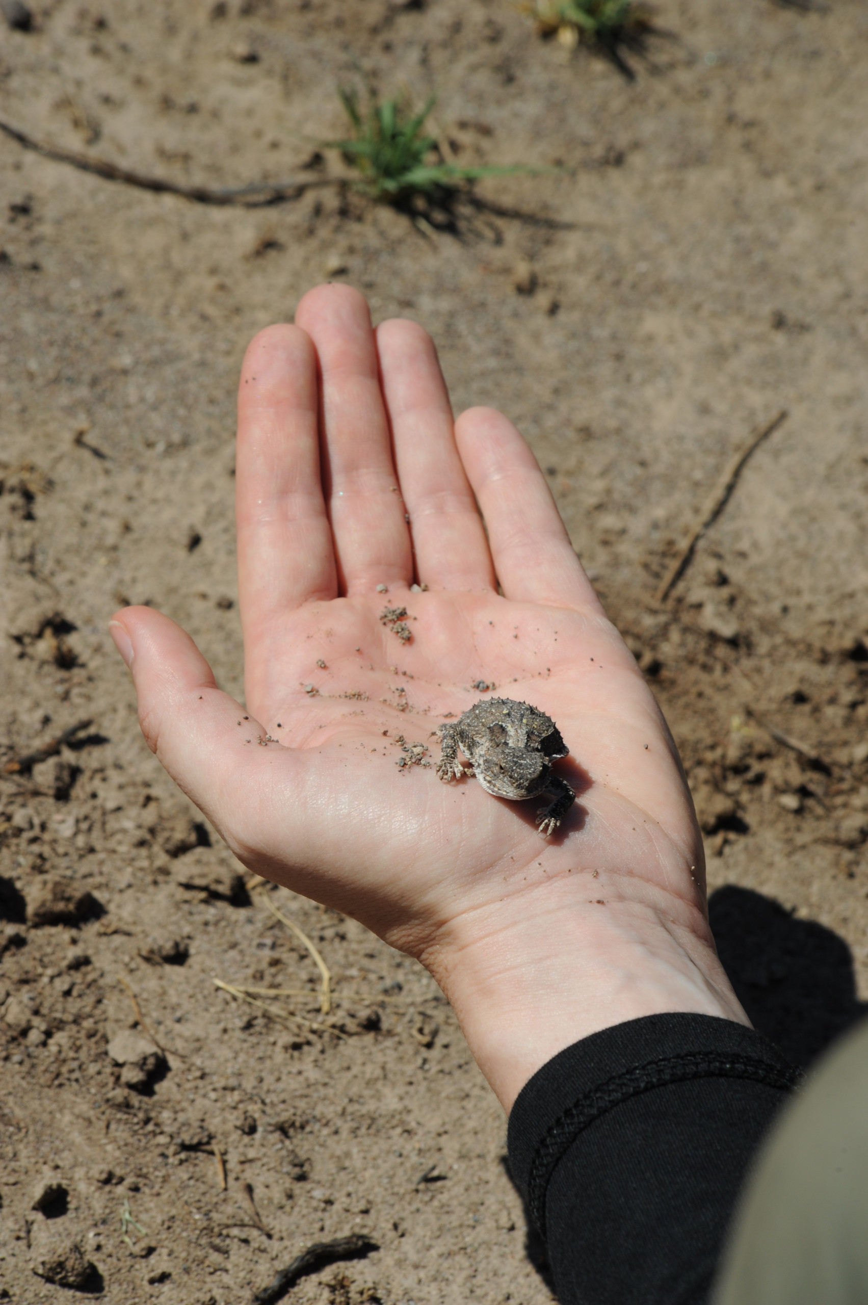 Orisons, by Marguerite Humeau