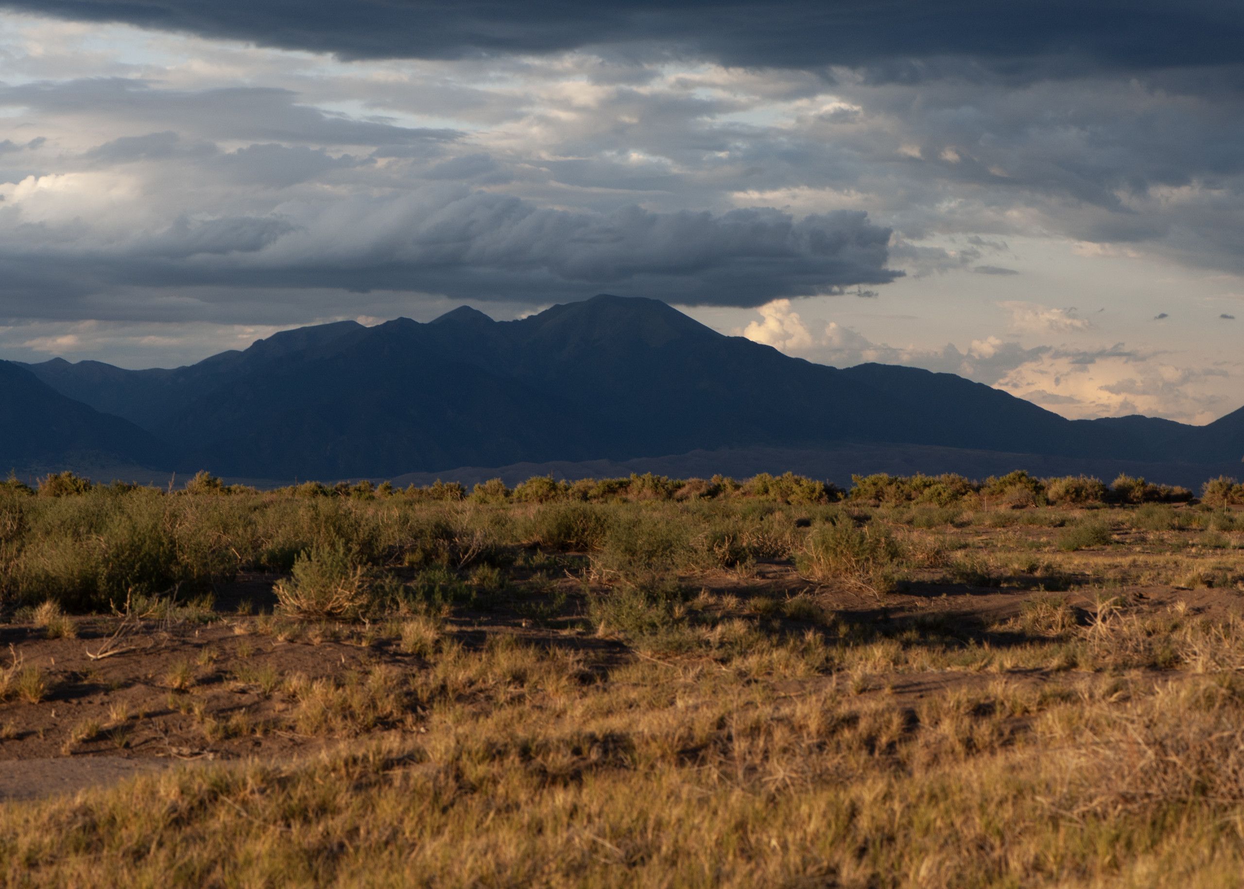 Orisons, by Marguerite Humeau