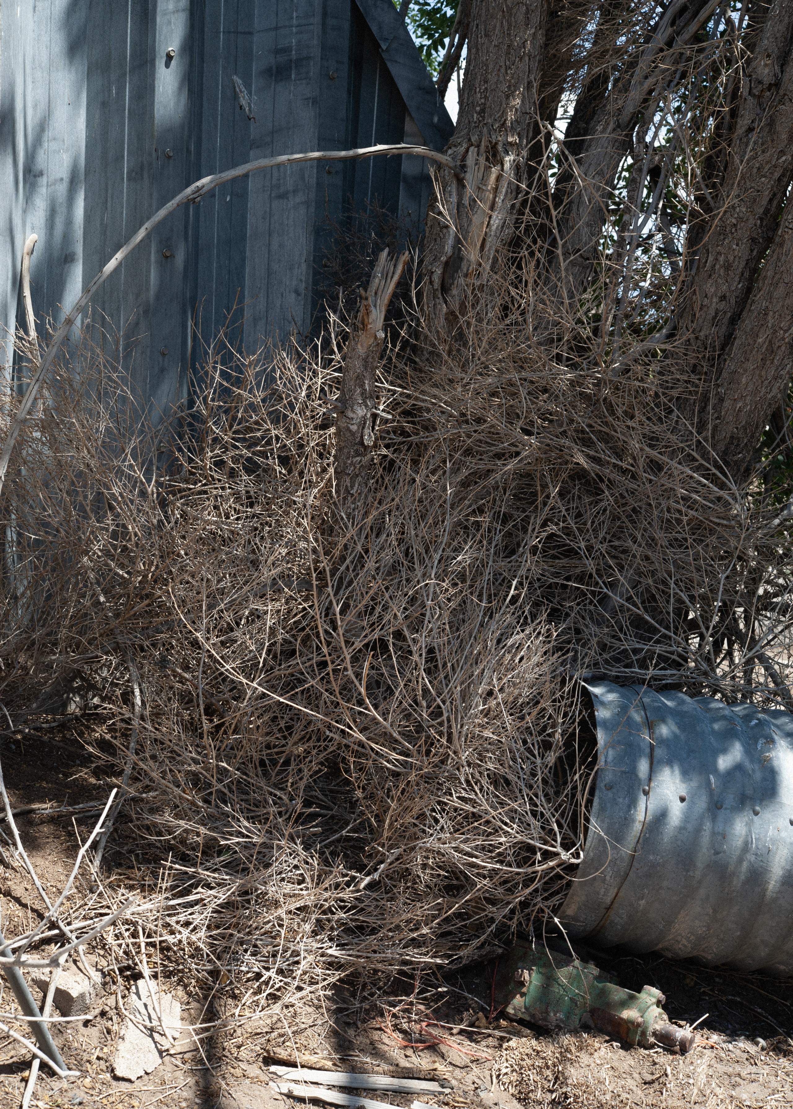 Orisons, by Marguerite Humeau