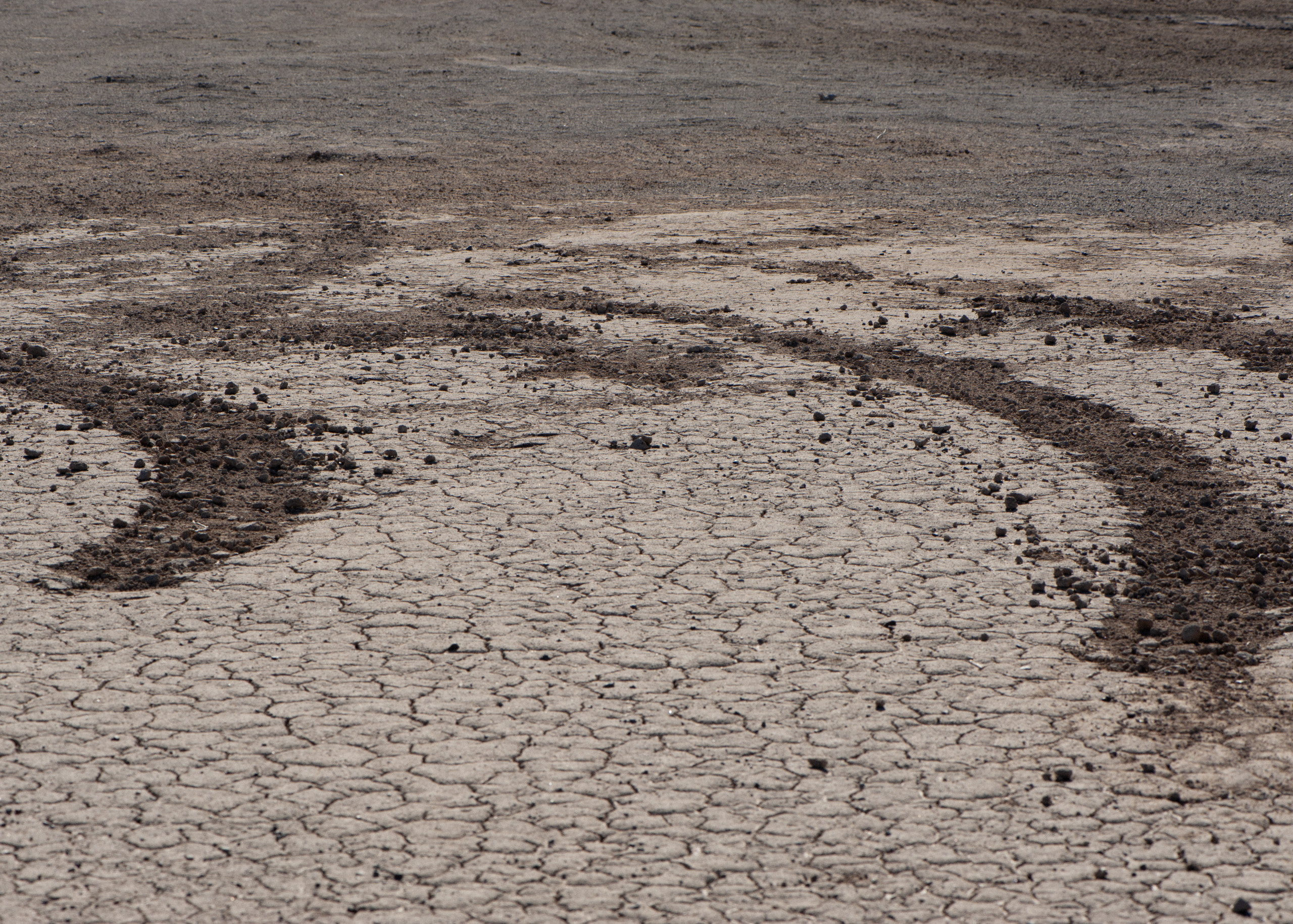 Orisons, by Marguerite Humeau