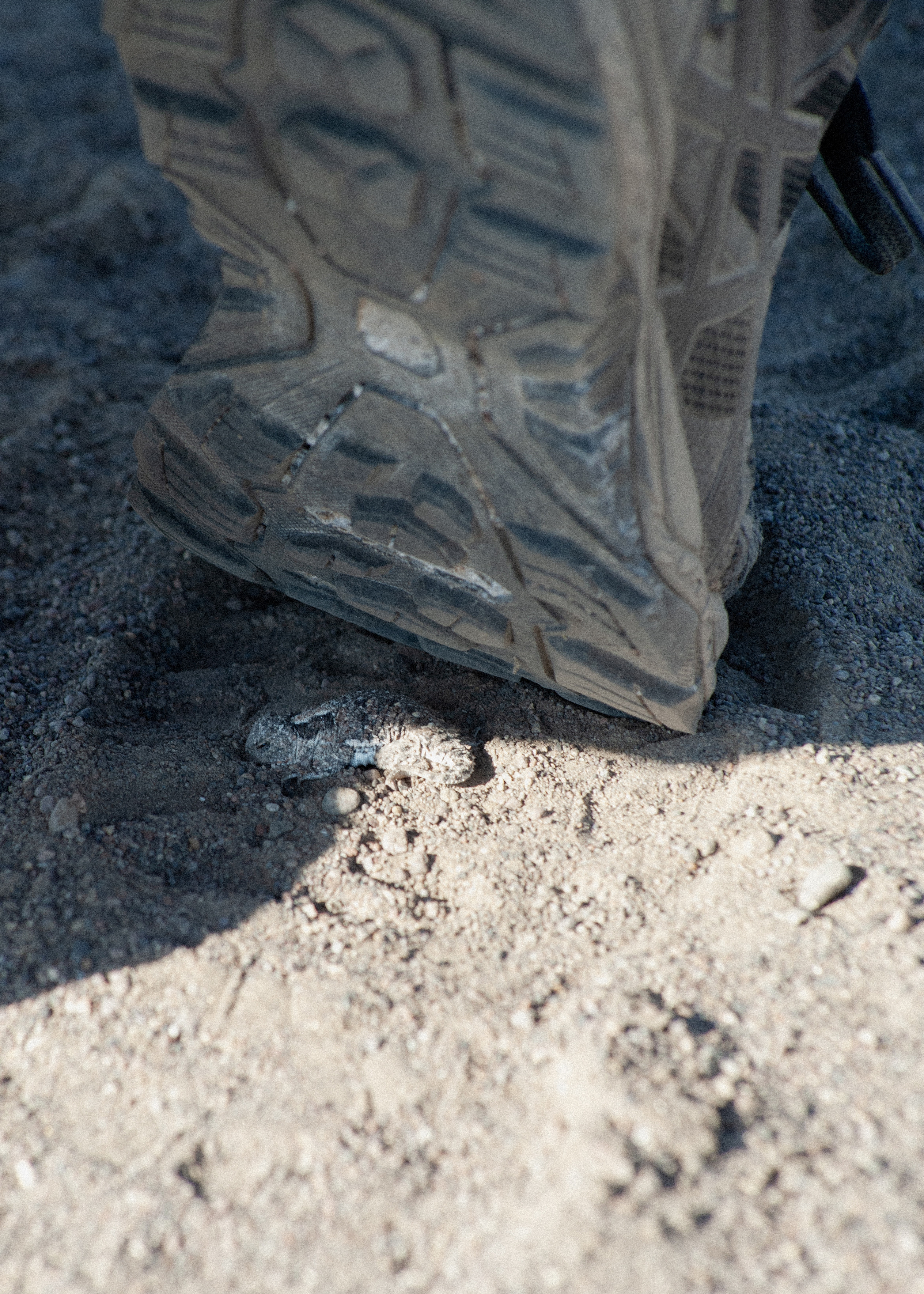 Orisons, by Marguerite Humeau