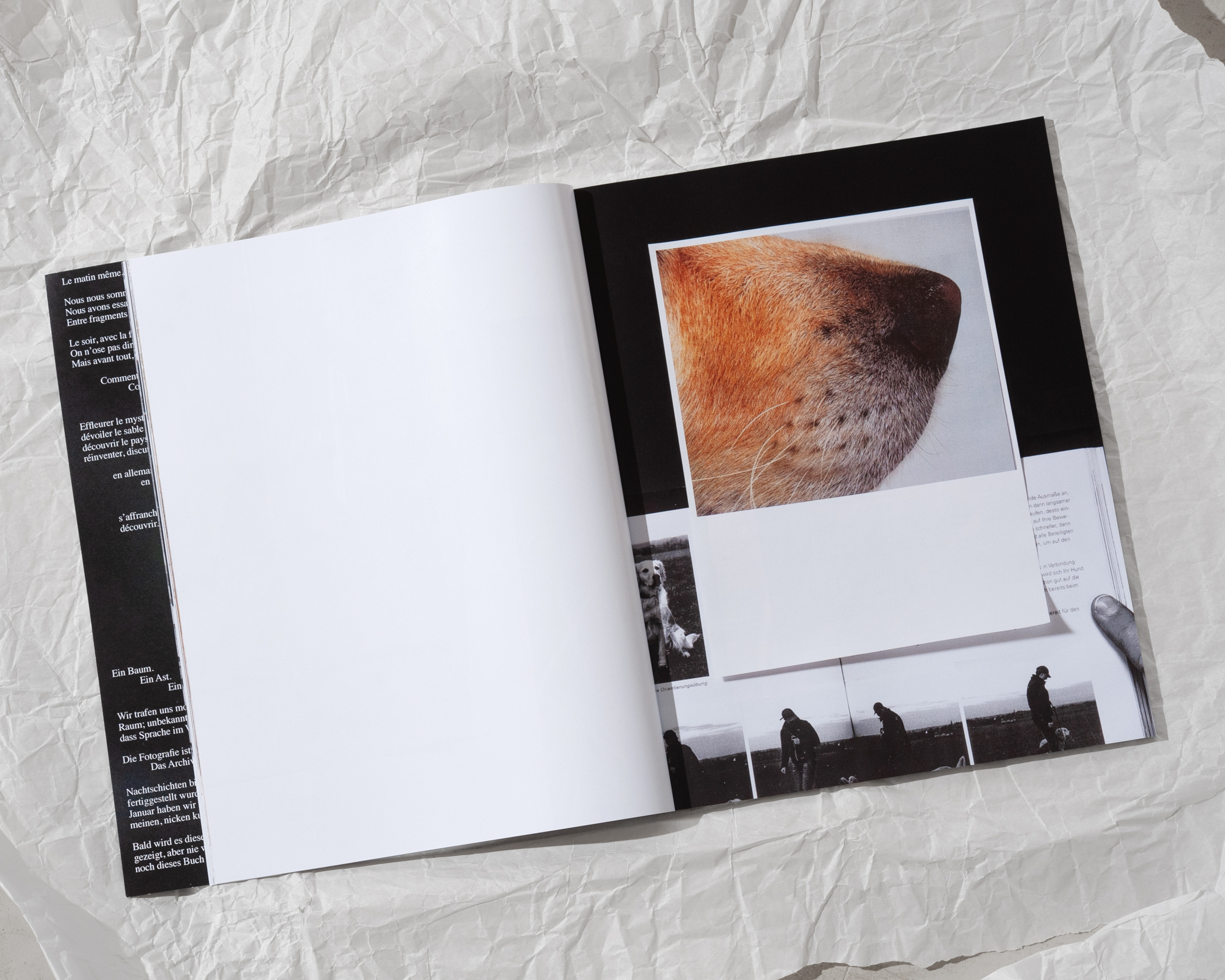 Making Odd Kith and Kin