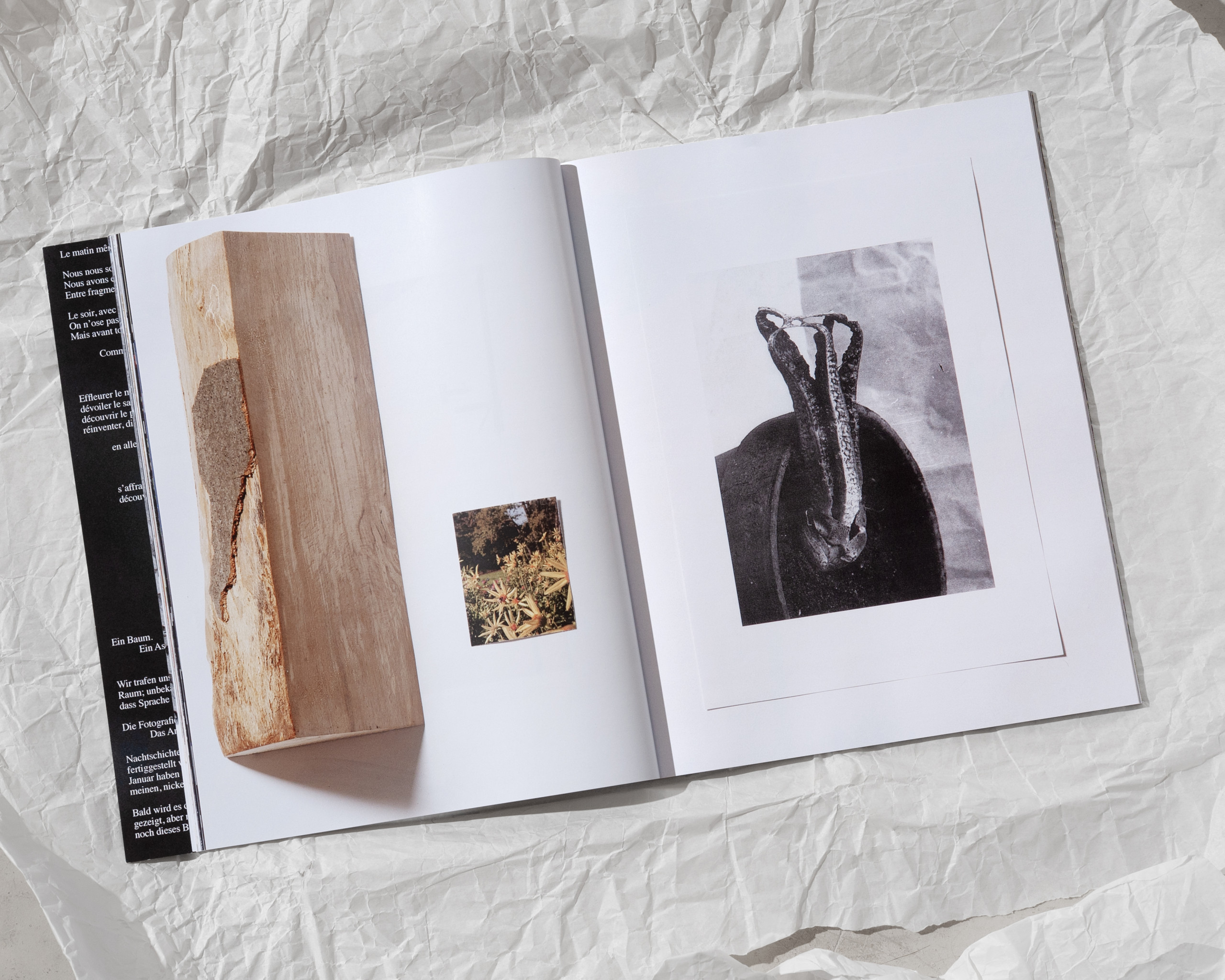 Making Odd Kith and Kin