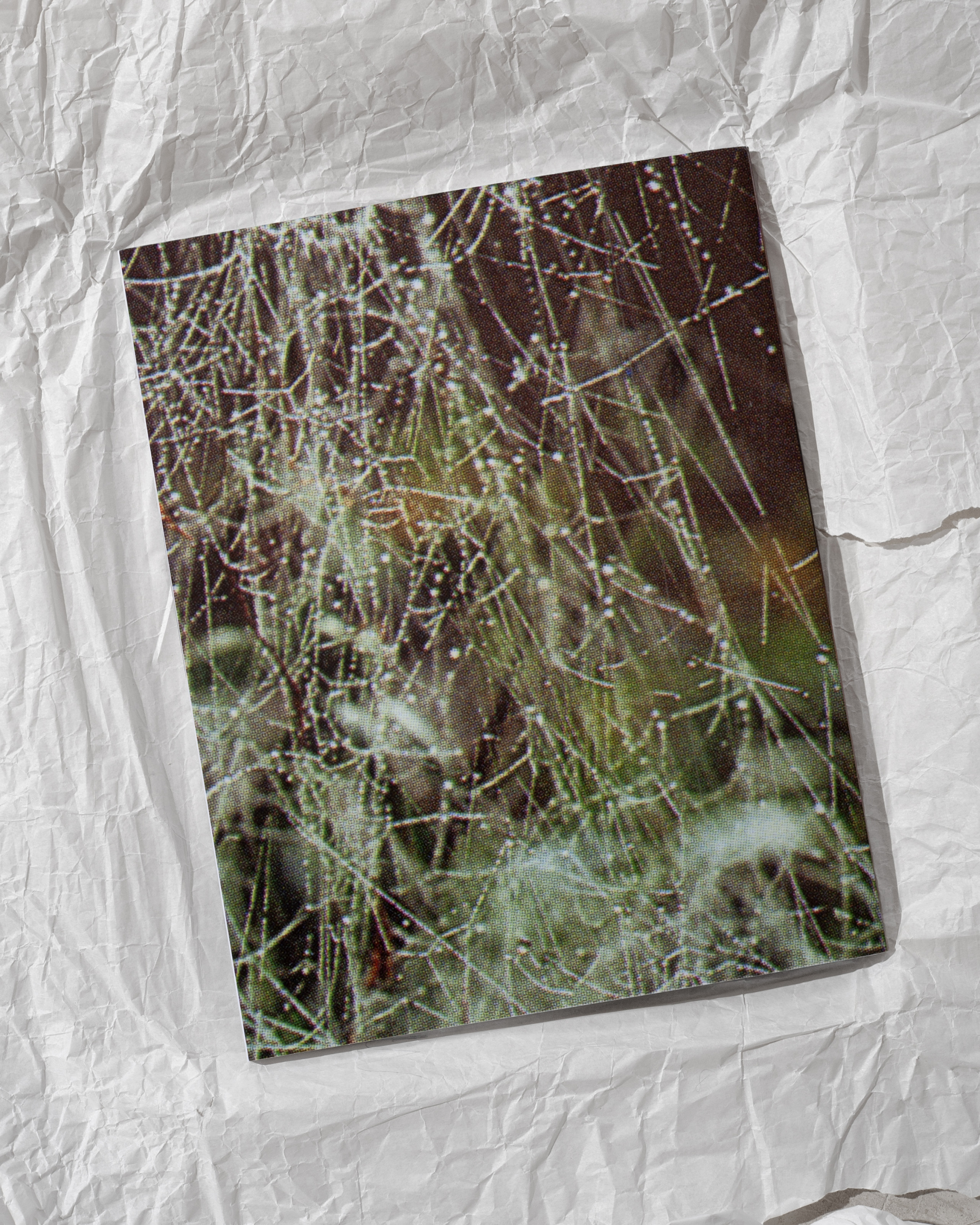 Making Odd Kith and Kin