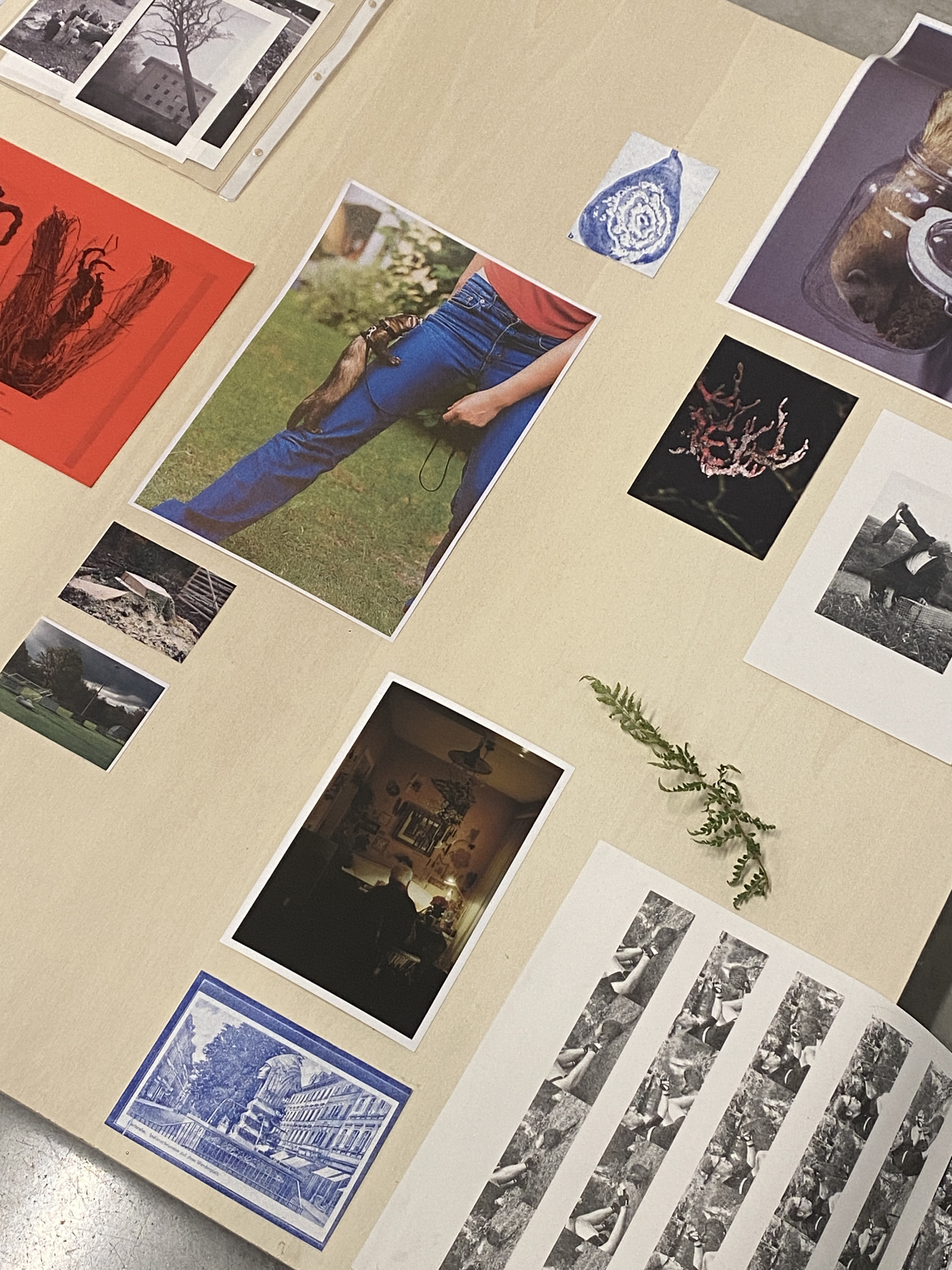 Making Odd Kith and Kin