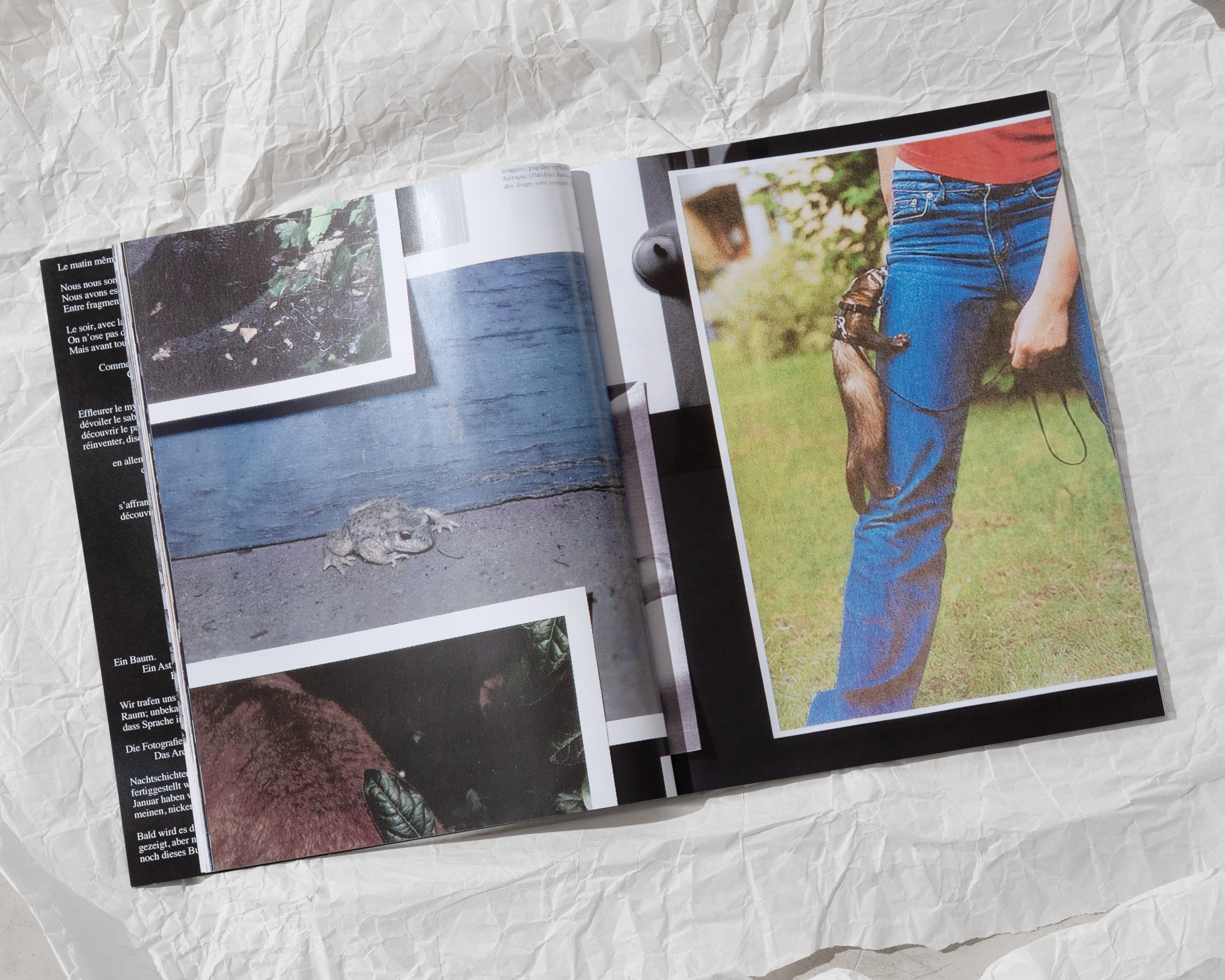 Making Odd Kith and Kin