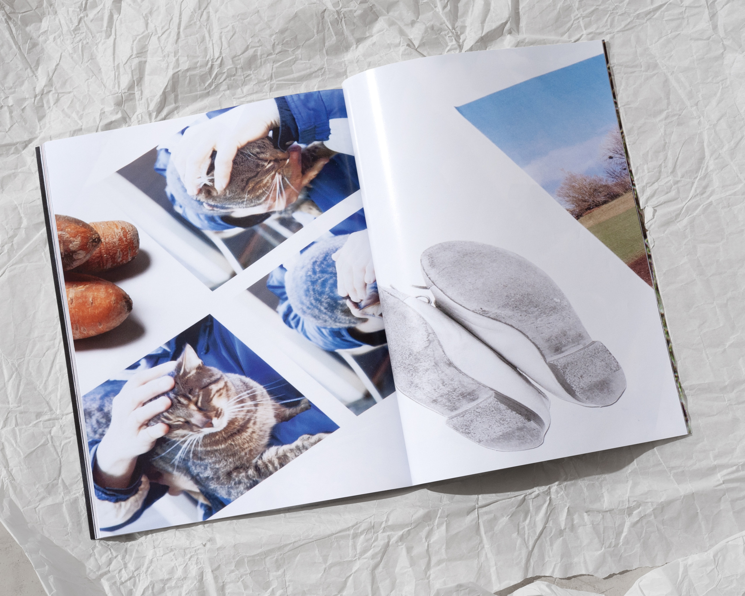 Making Odd Kith and Kin