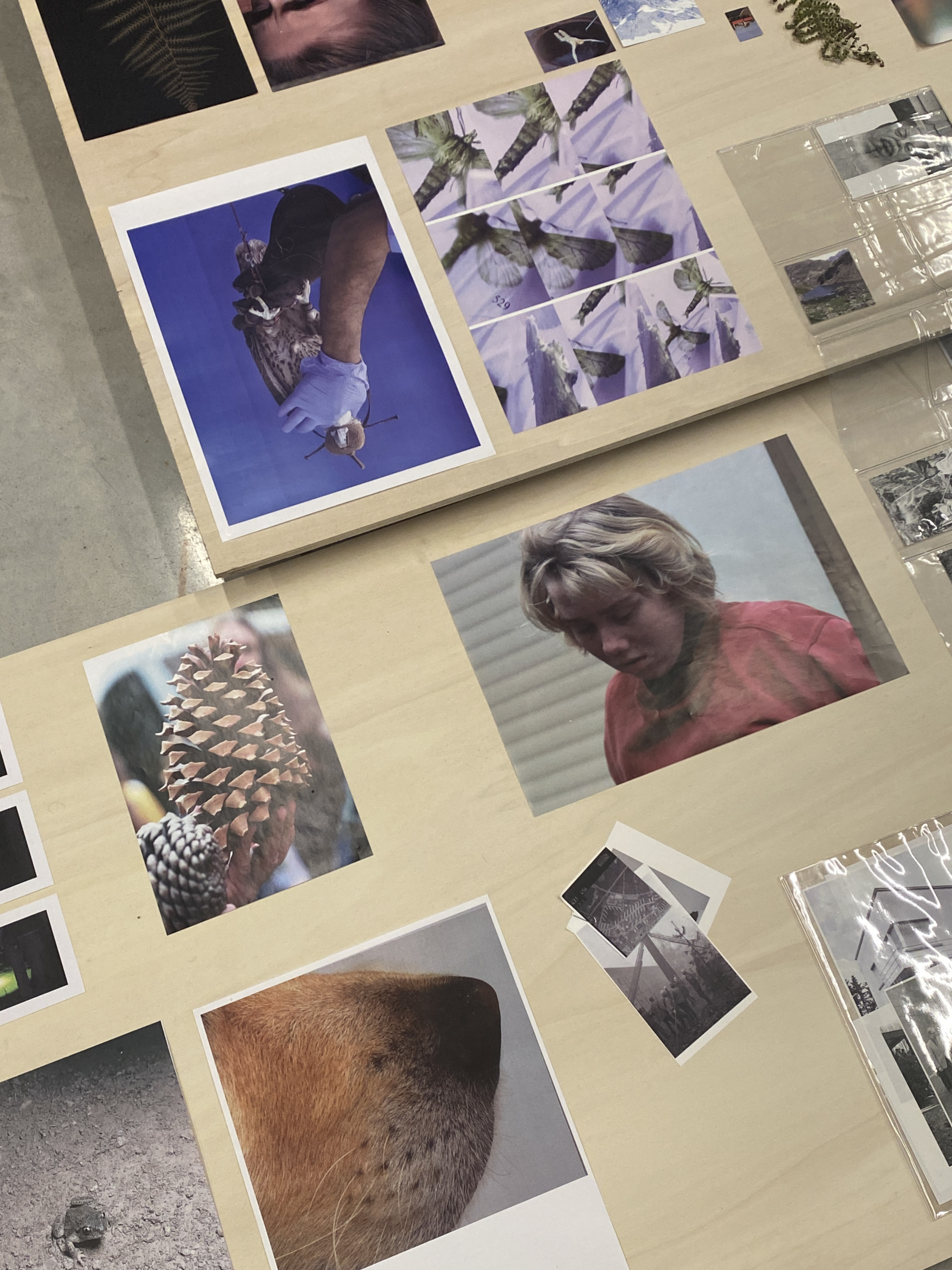 Making Odd Kith and Kin