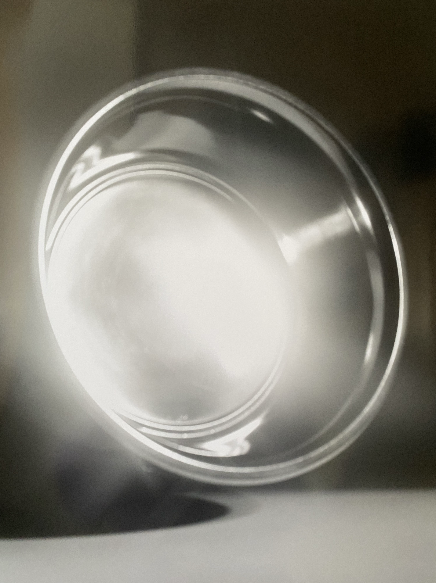 Take, Select, Arrange, Print(2)