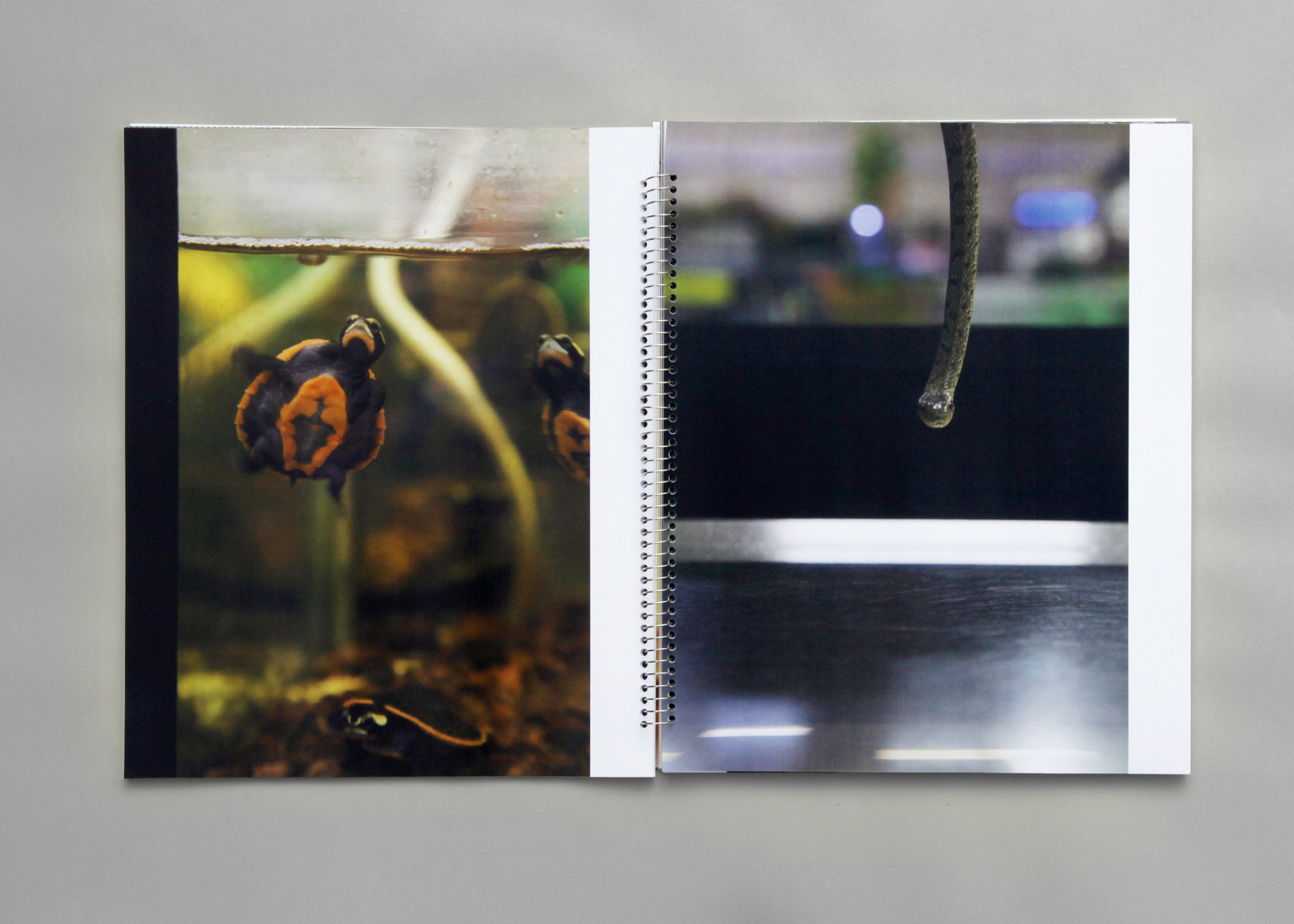 Take, Select, Arrange, Print(2)