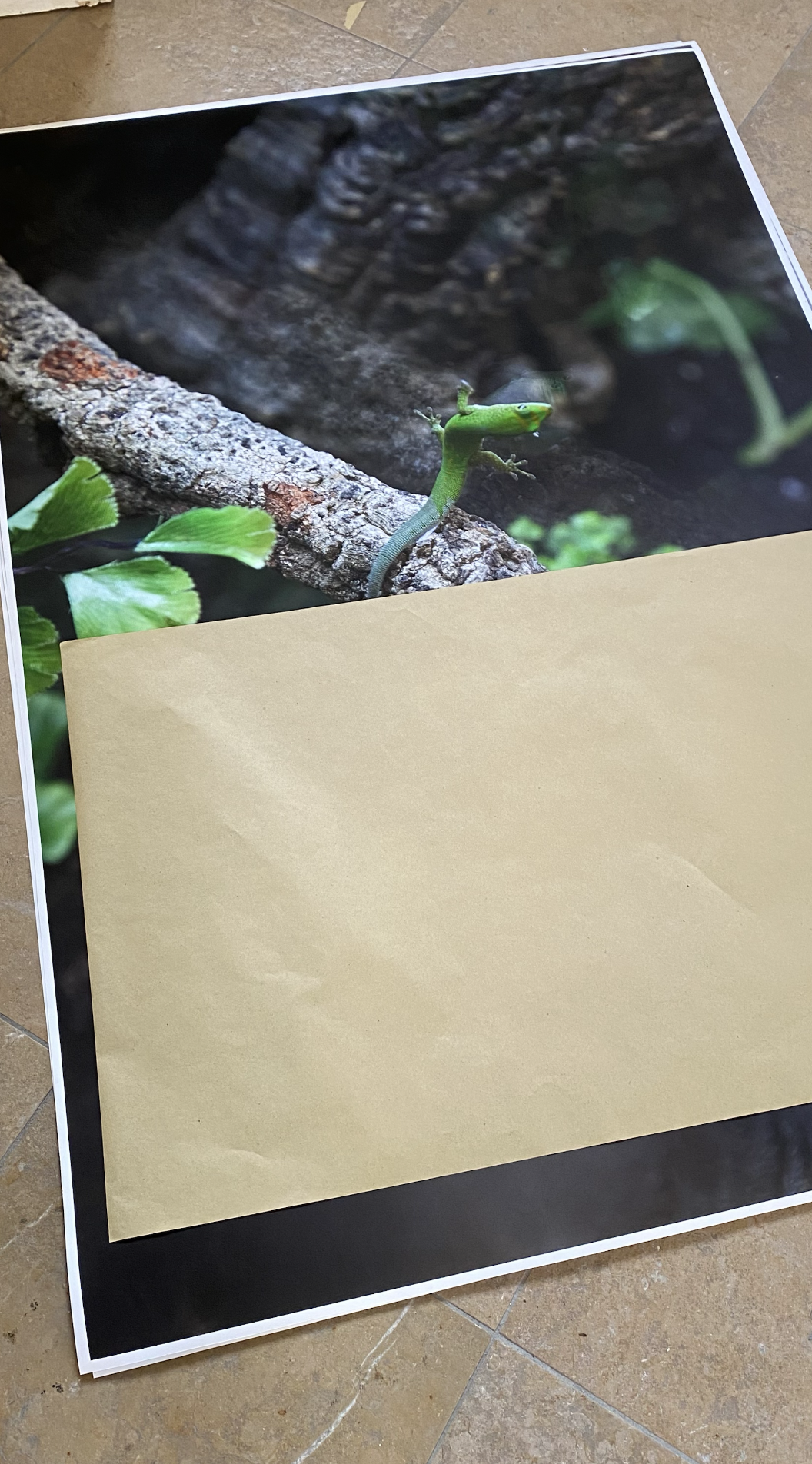 Take, Select, Arrange, Print(2)