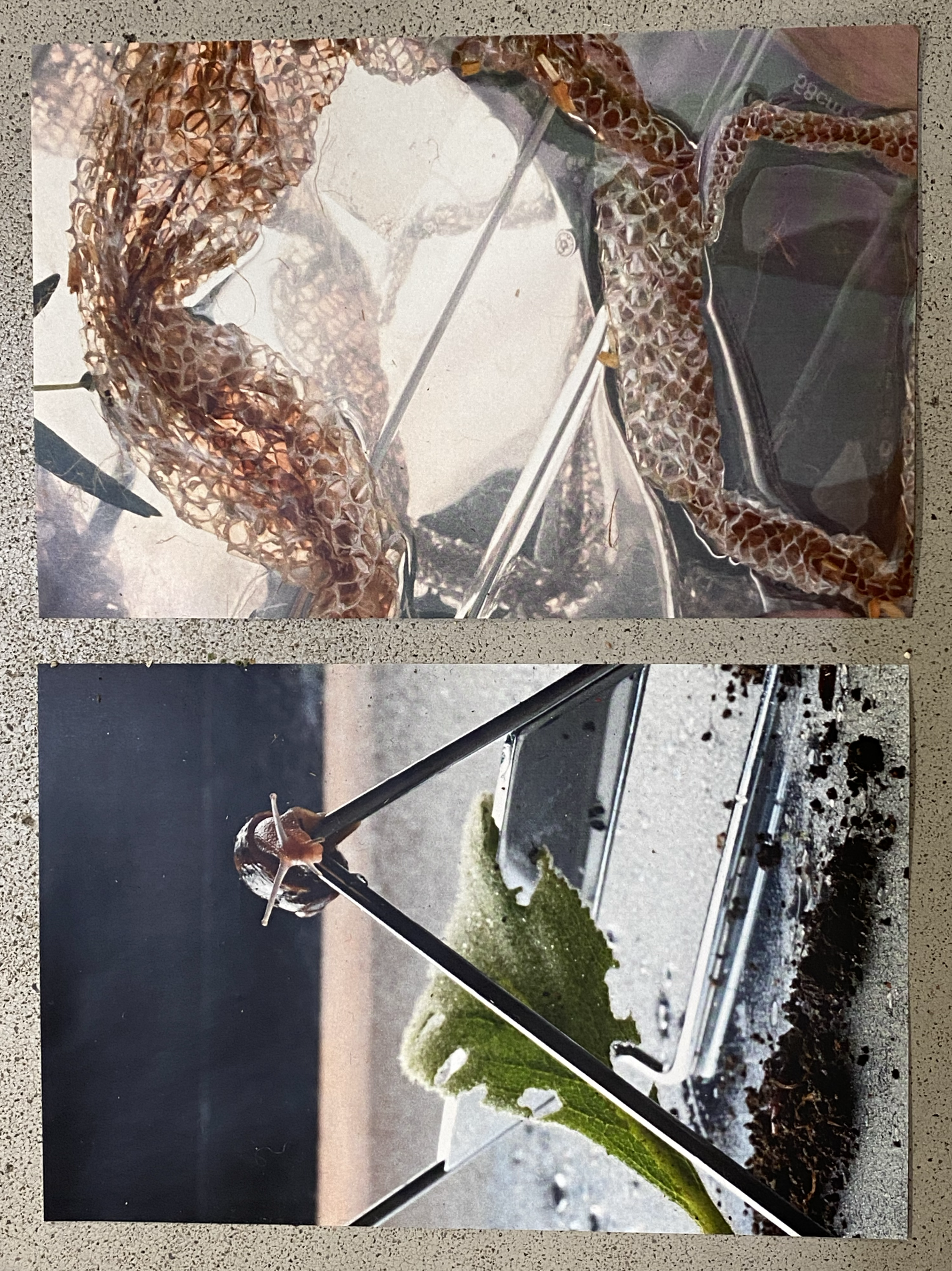 Take, Select, Arrange, Print(2)