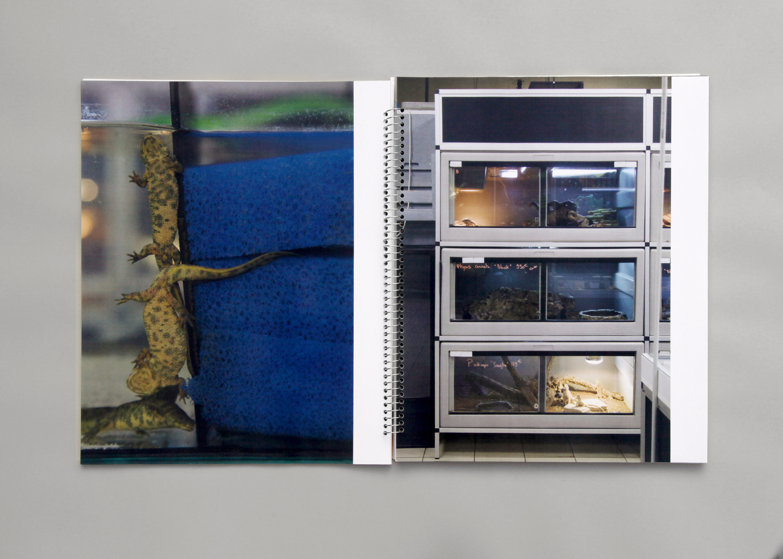 Take, Select, Arrange, Print(2)