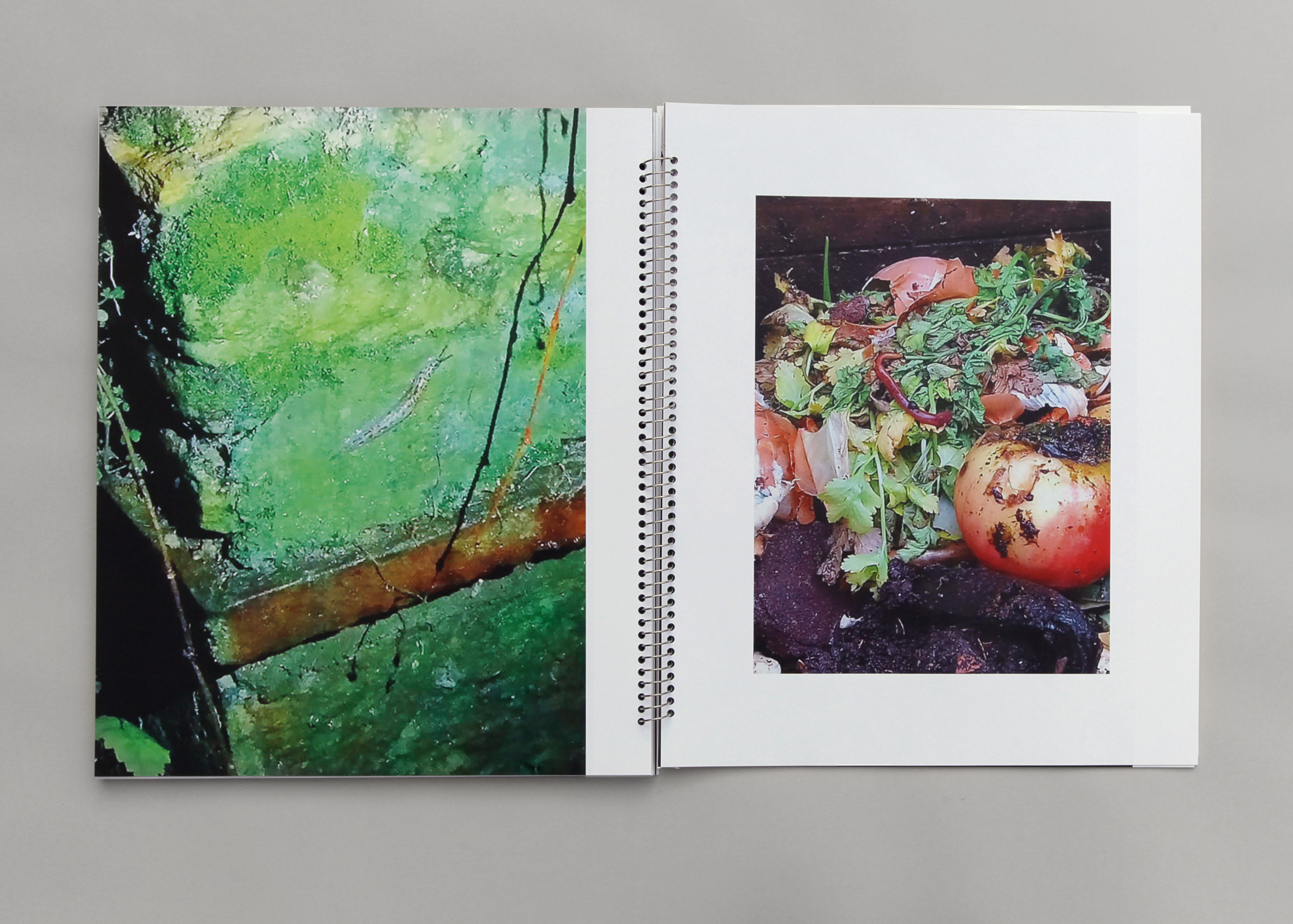 Take, Select, Arrange, Print(2)