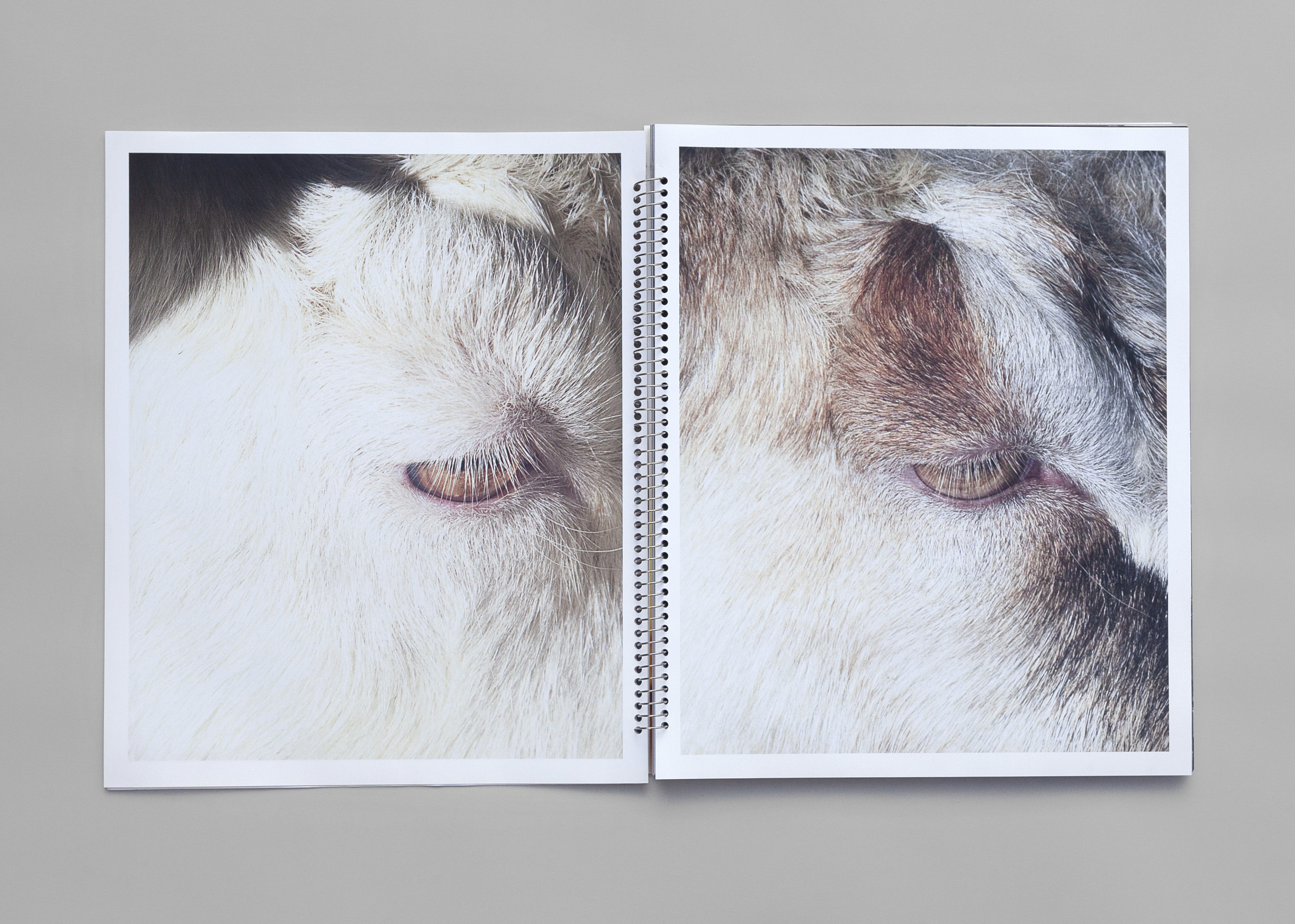 Take, Select, Arrange, Print(2)