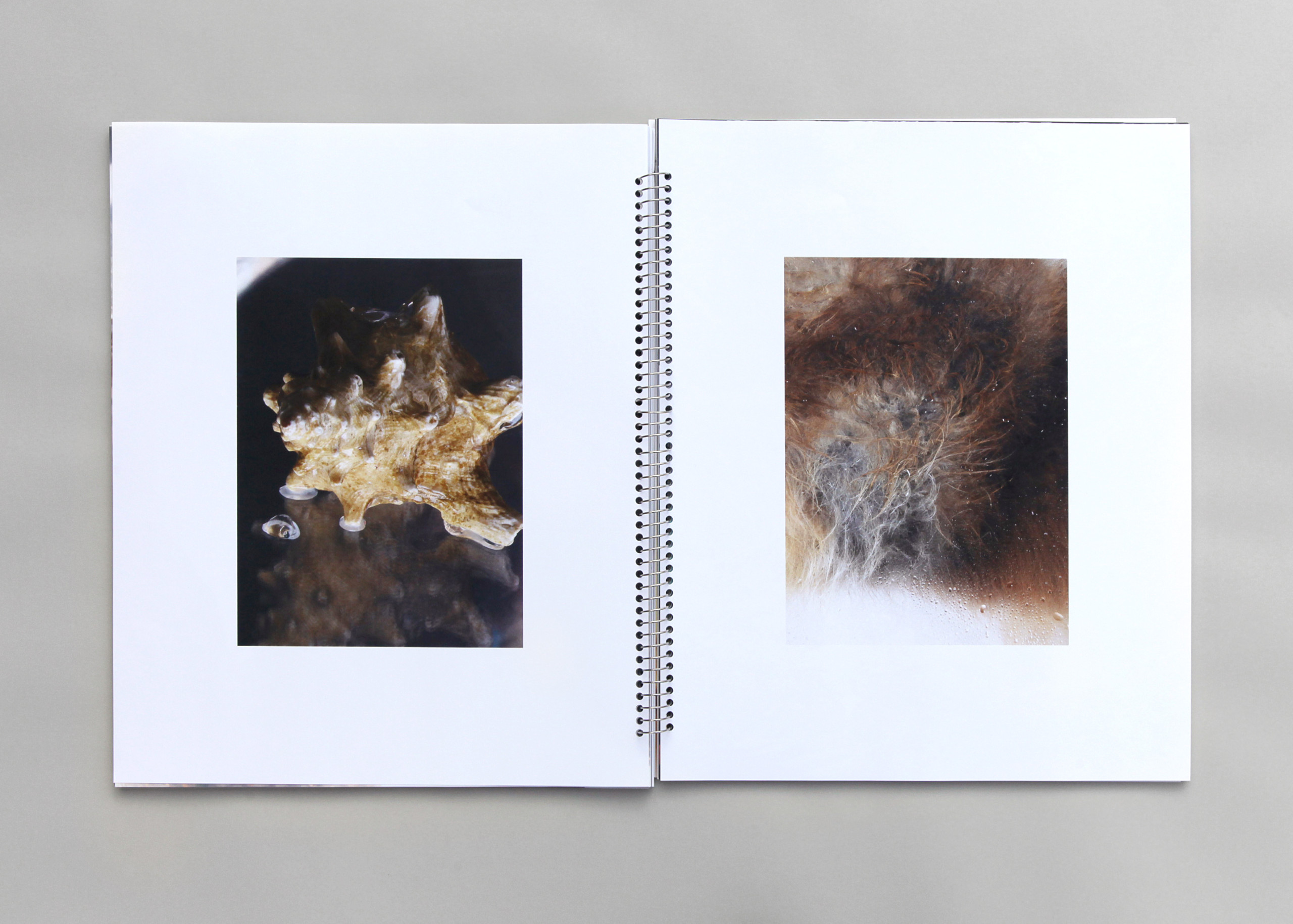 Take, Select, Arrange, Print(2)