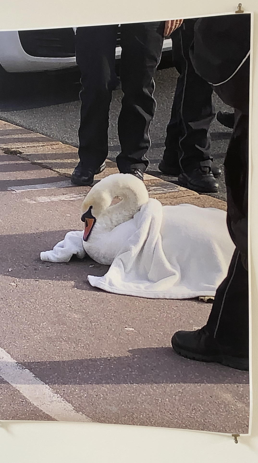 Take, Select, Arrange, Print(2)