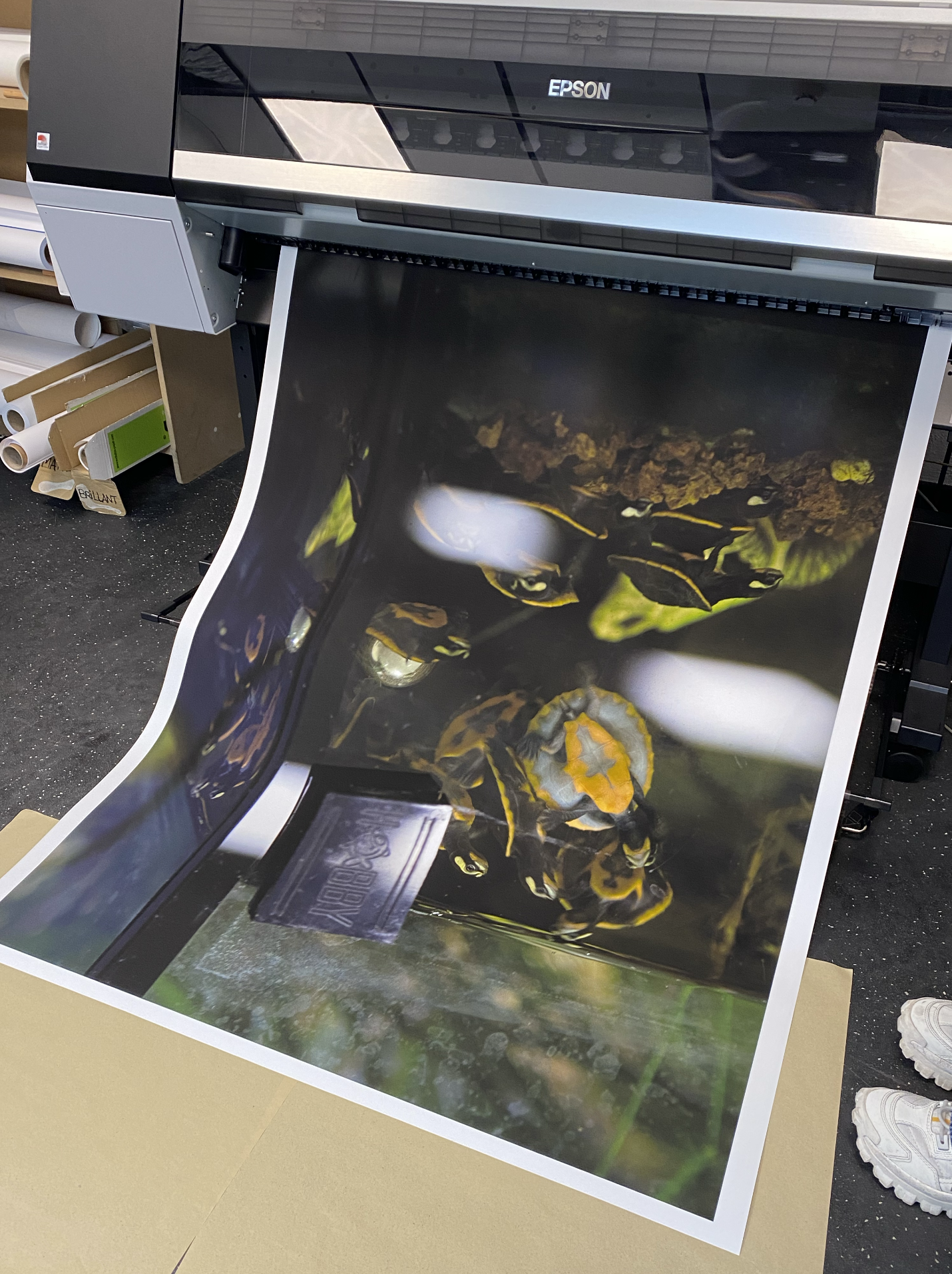 Take, Select, Arrange, Print(2)