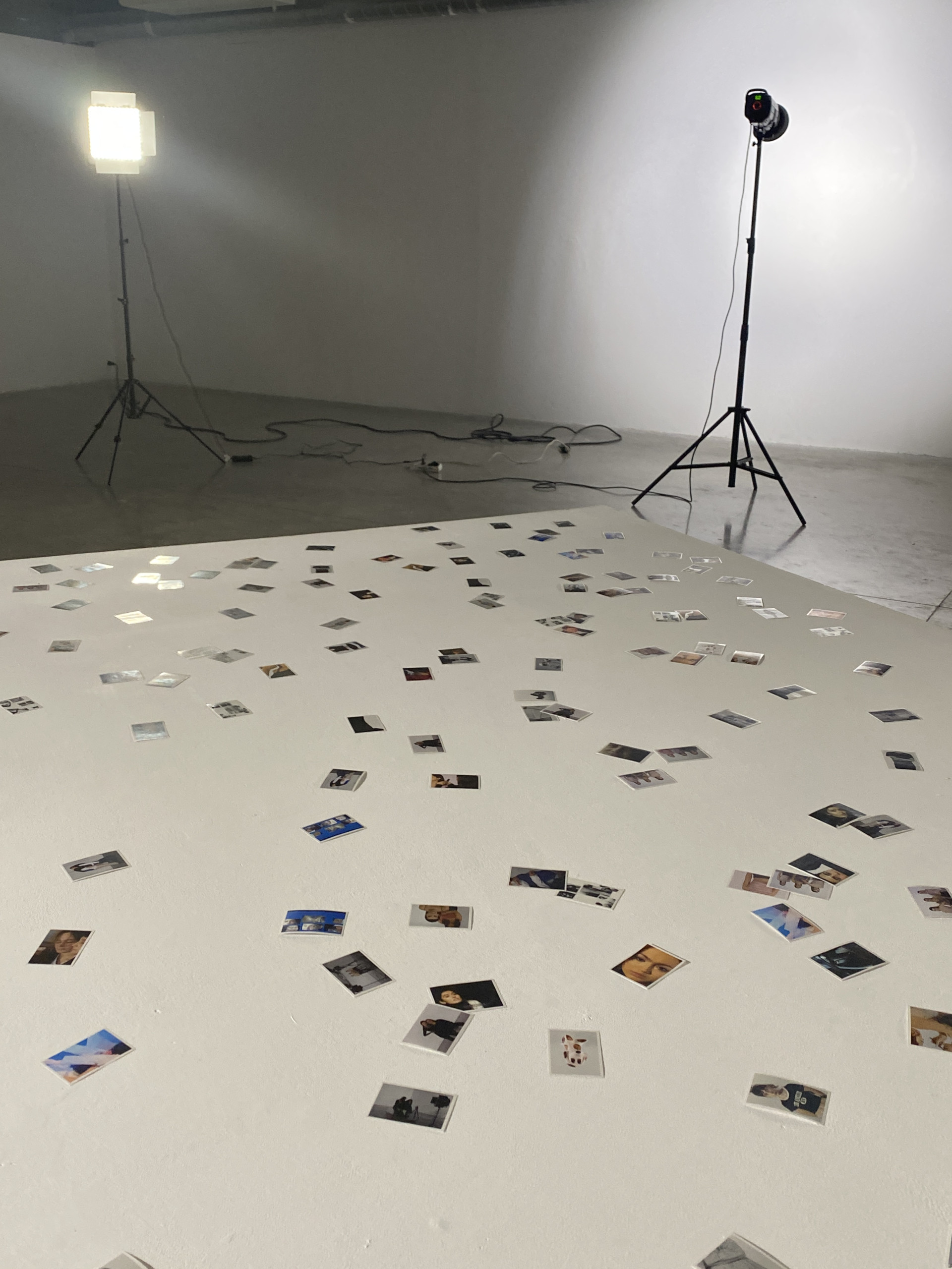 Take, Select, Arrange, Print (3)